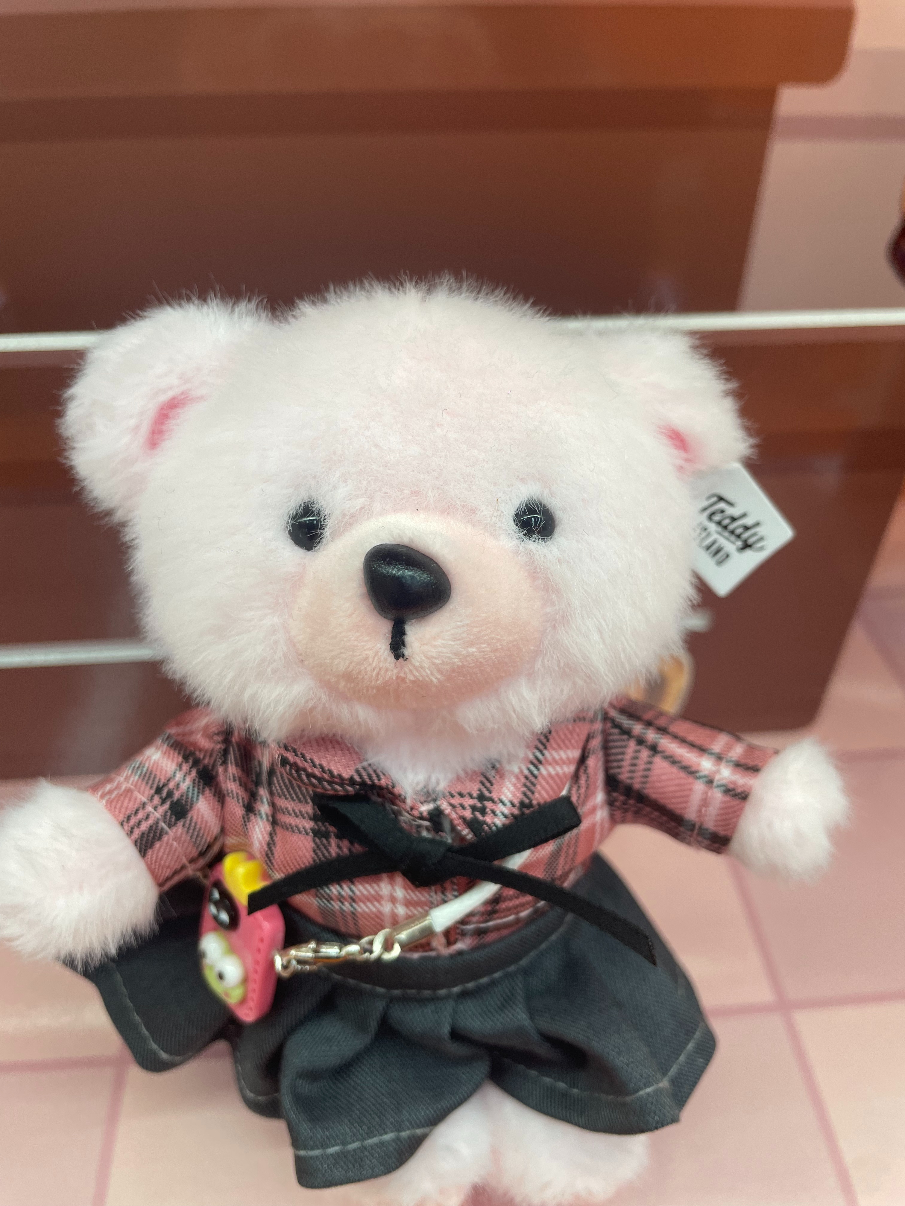 Teddy Ailan Plush Toy, Bear Doll, Plush Small Pendant 8 Item Picture