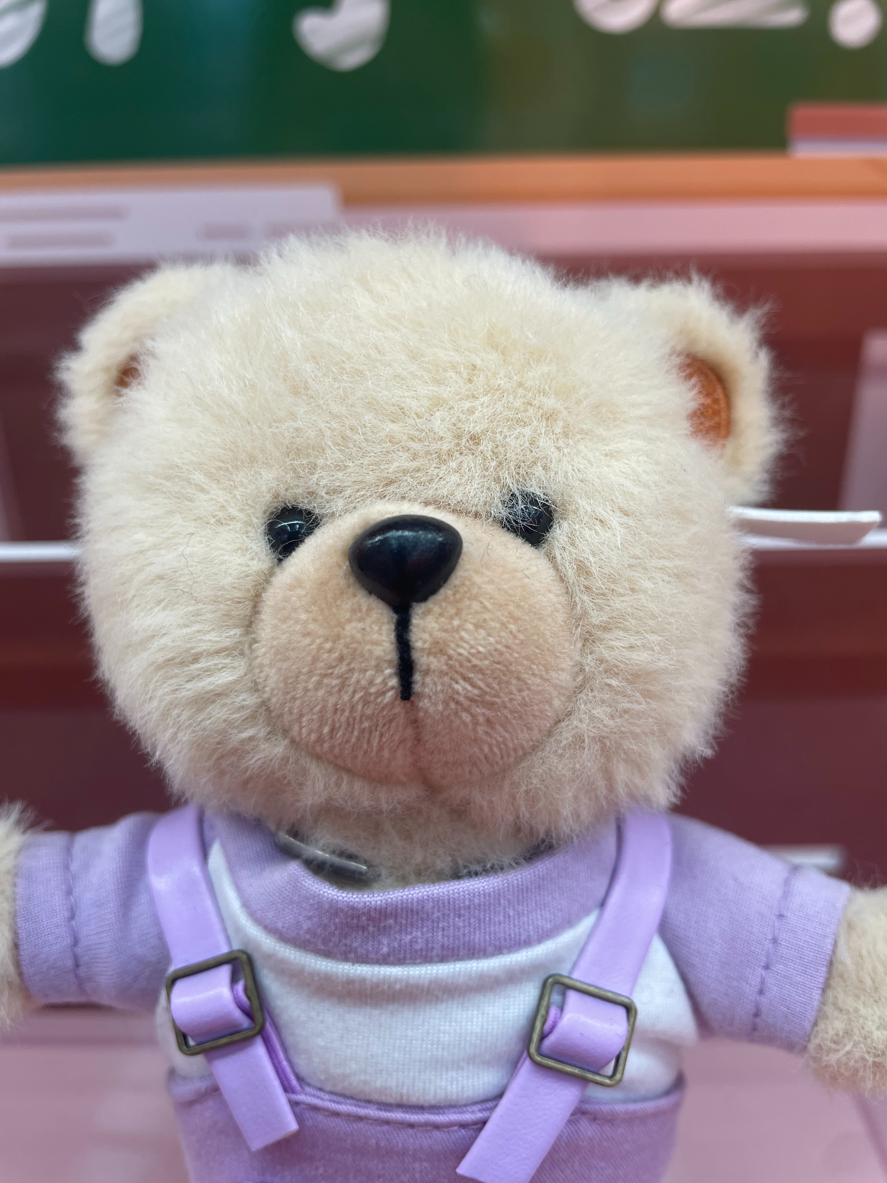 Teddy Ailan Plush Toy, Bear Doll, Plush Small Pendant 4 Specification drawing