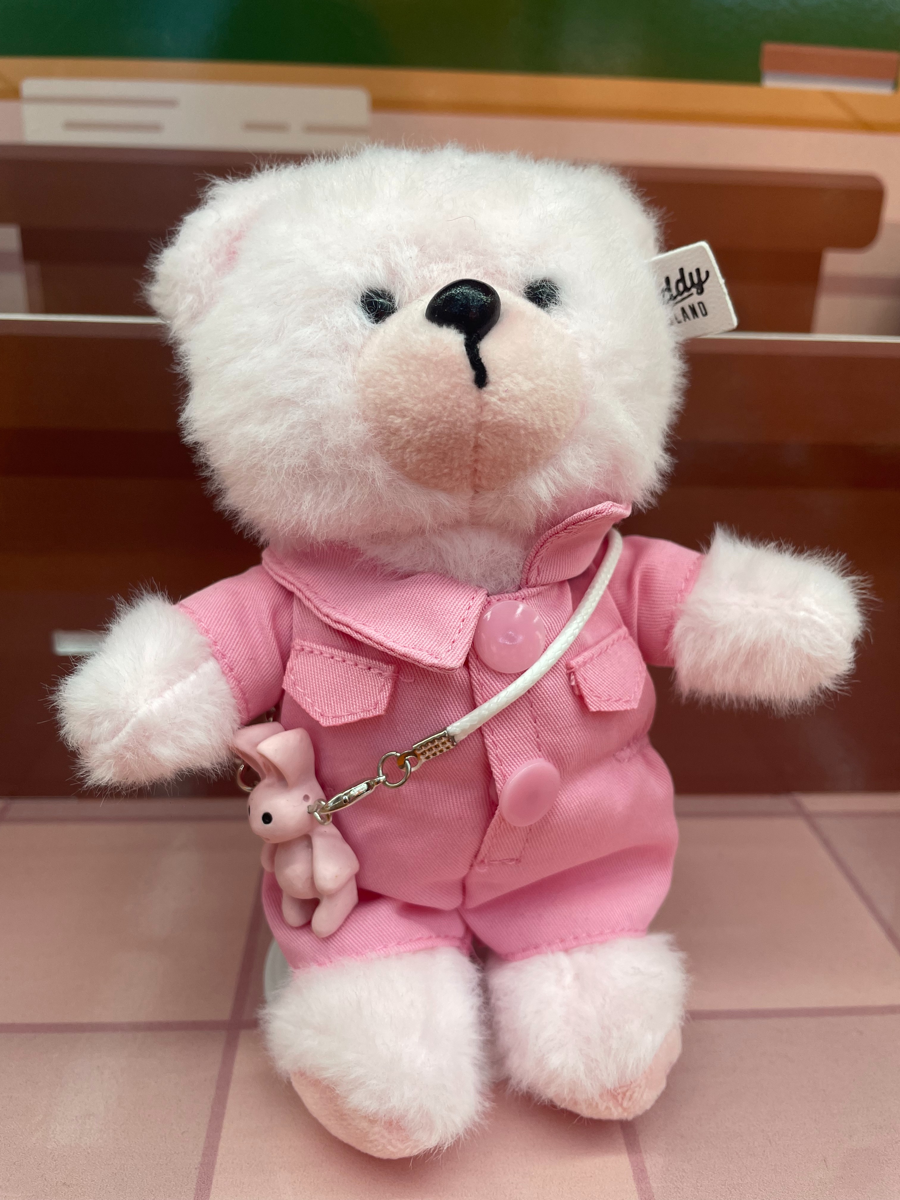 Teddy Ailan Plush Toy, Bear Doll, Plush Small Pendant 1 details Picture