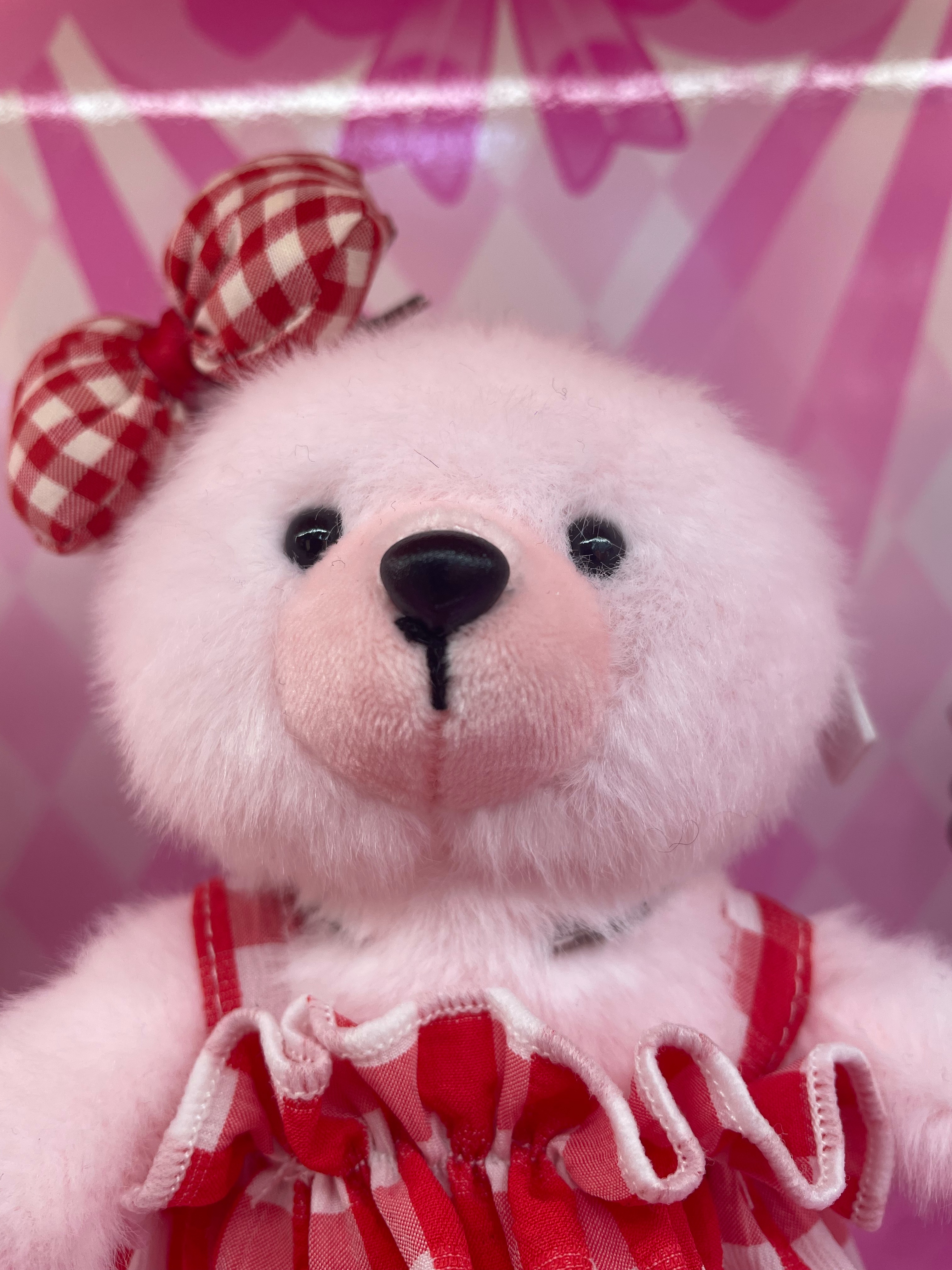 Teddy Ailan Plush Toy Bear Doll Plush Trinket 18 Application Scenario