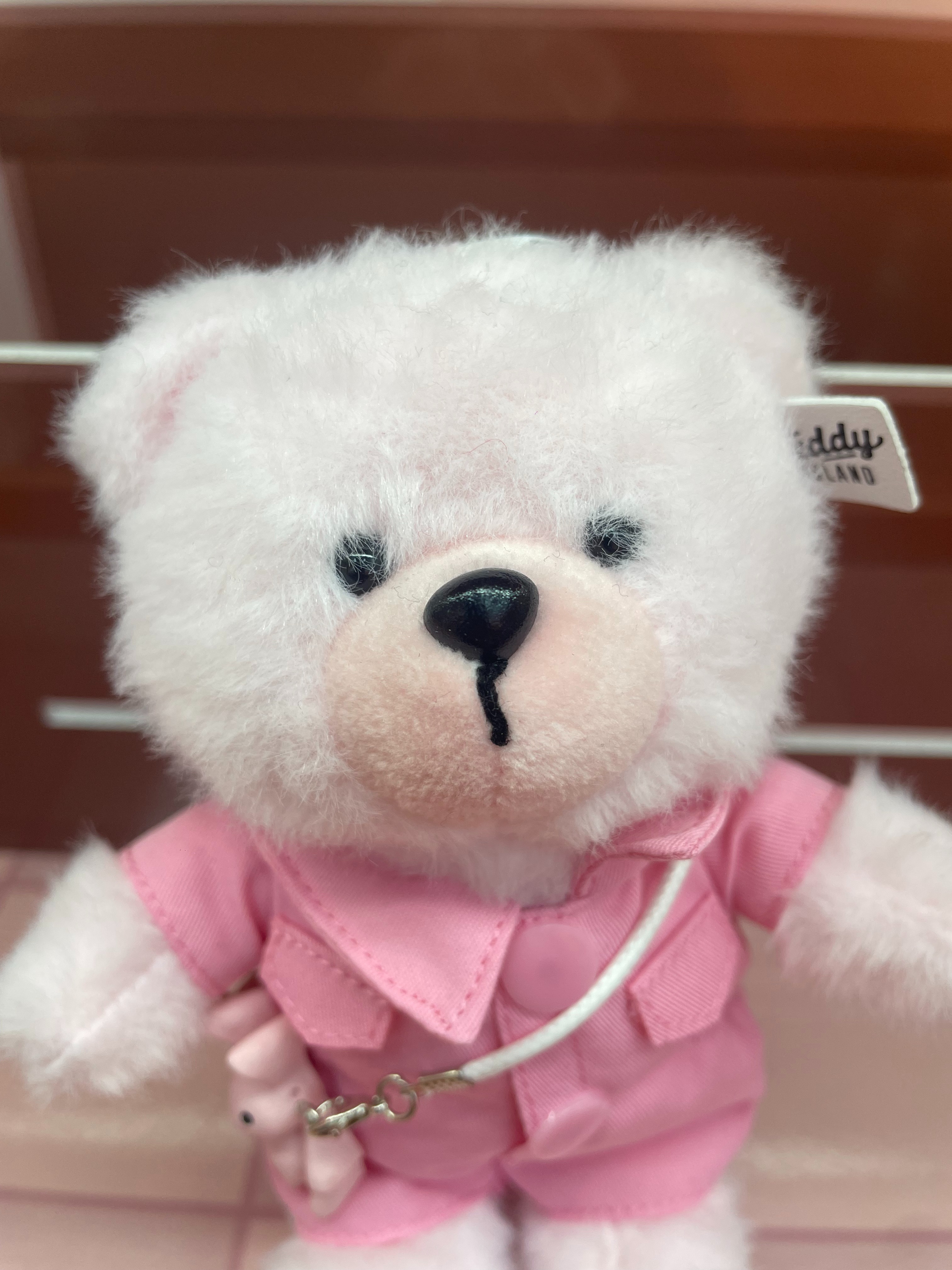 Teddy Ailan Plush Toy, Bear Doll, Plush Small Pendant 1 Item Picture
