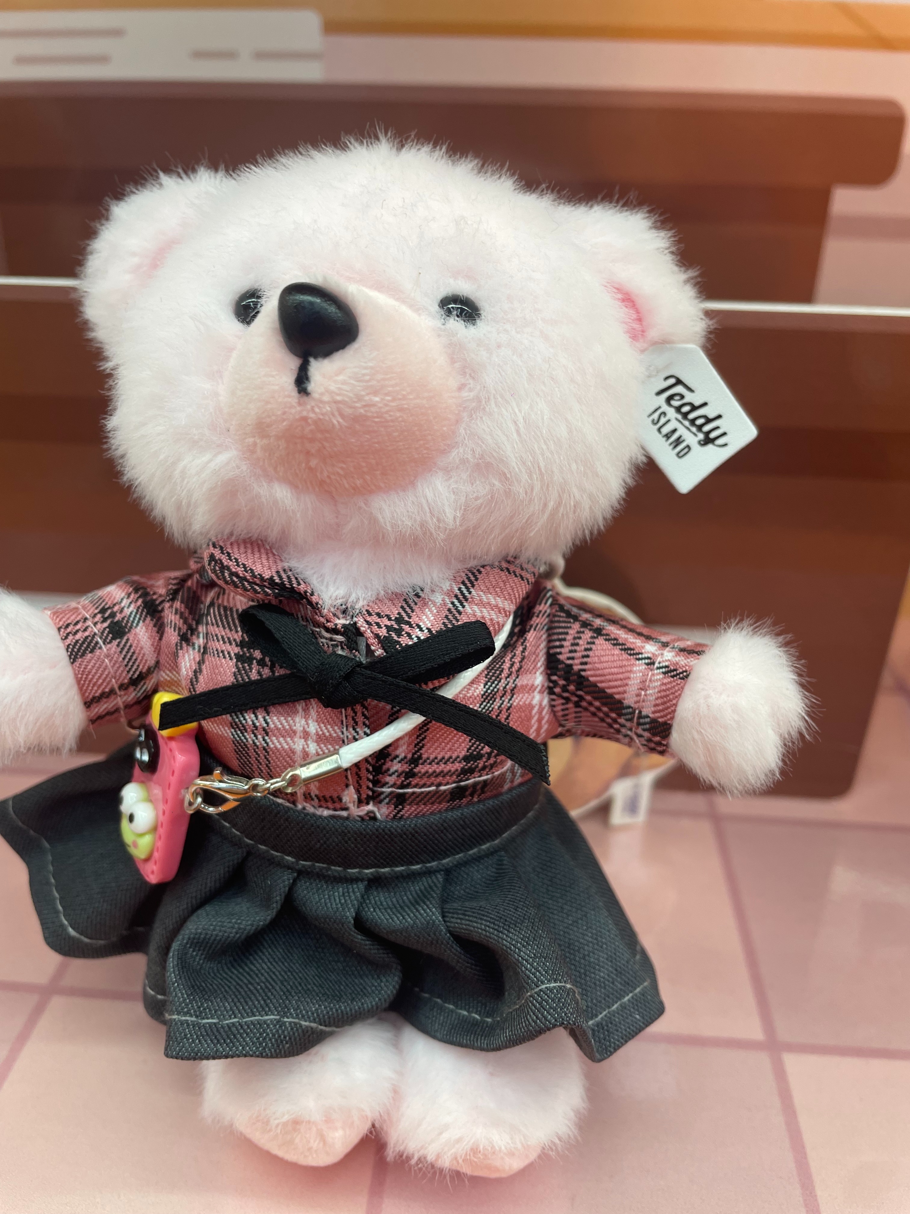 Teddy Ailan Plush Toy, Bear Doll, Plush Small Pendant 8 Application Scenario