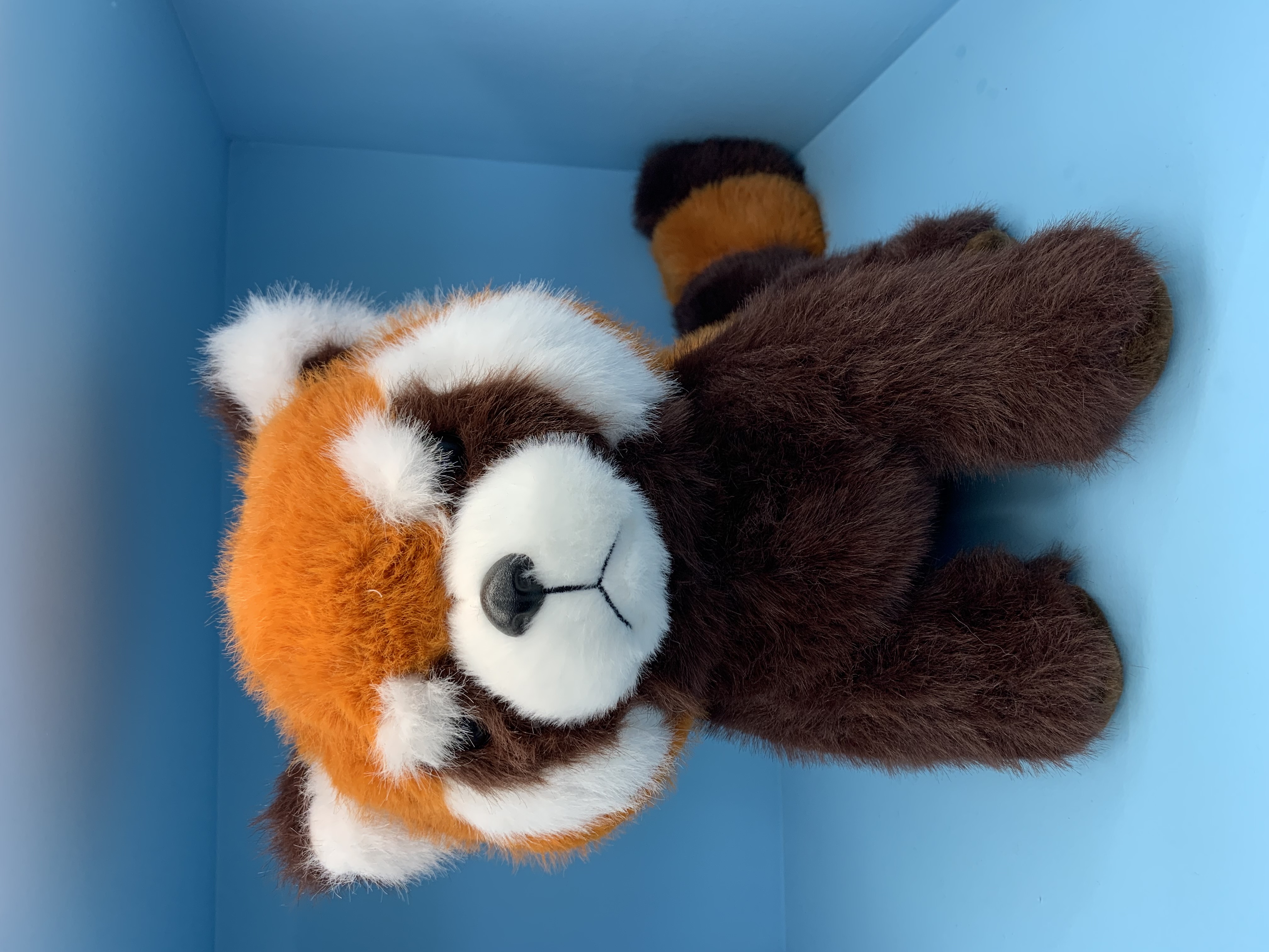 红熊猫潮流玩偶毛绒玩具批发定制款柔软可爱居家装饰