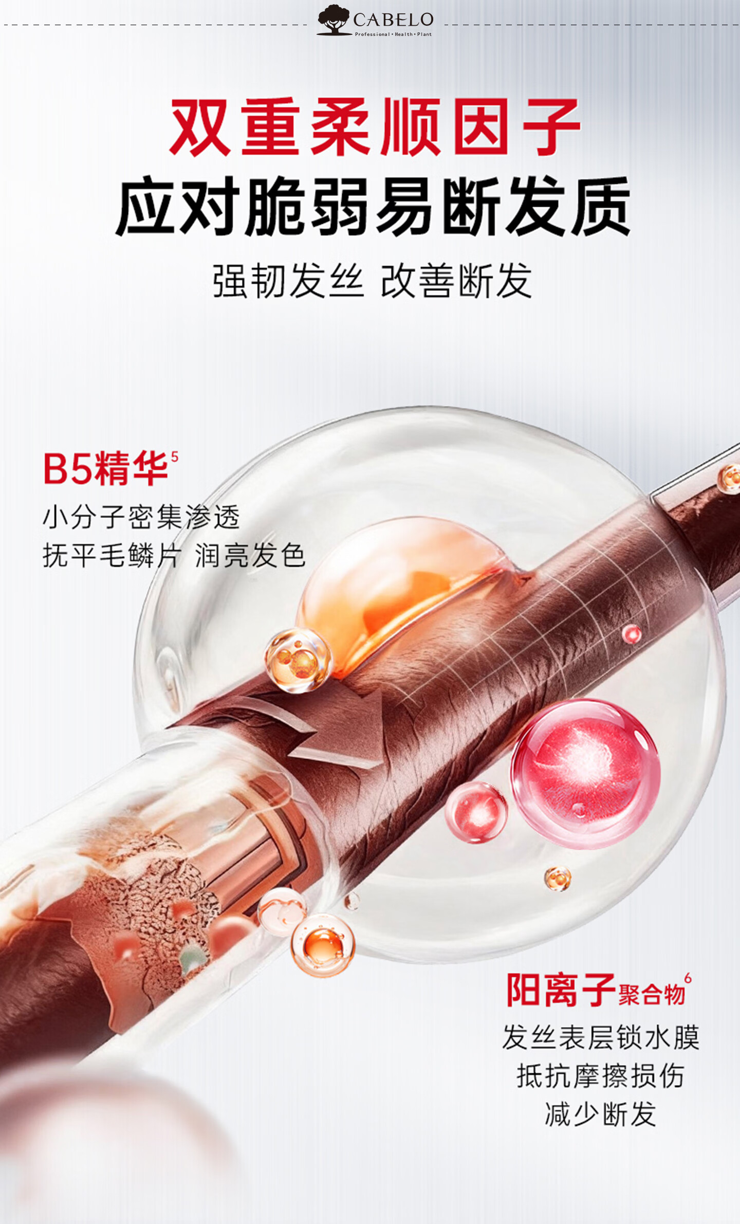 卡蓓诺（CABELO）日本进口 防脱发强韧洗发水350ml 强根固发详情11