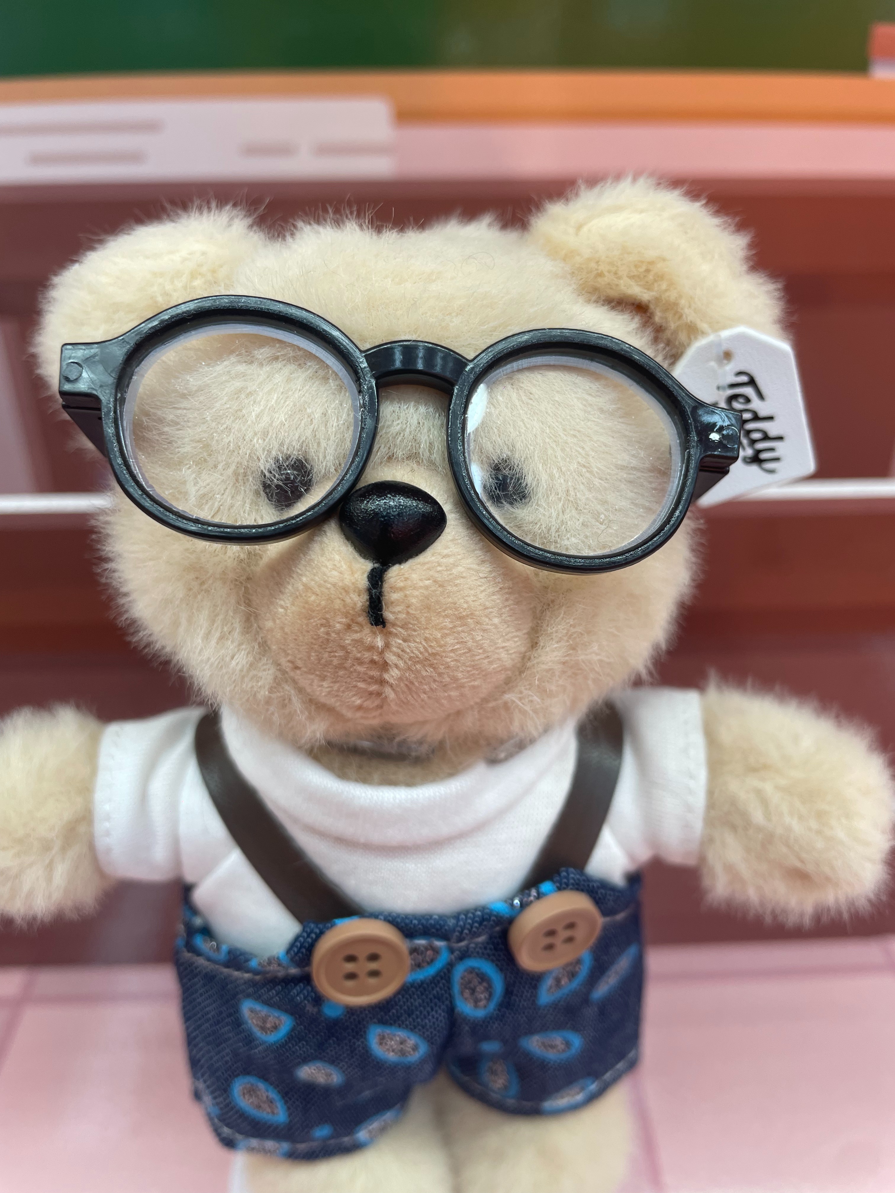 Teddy Ailan Plush Toy, Bear Doll, Plush Small Pendant 9 Application Scenario