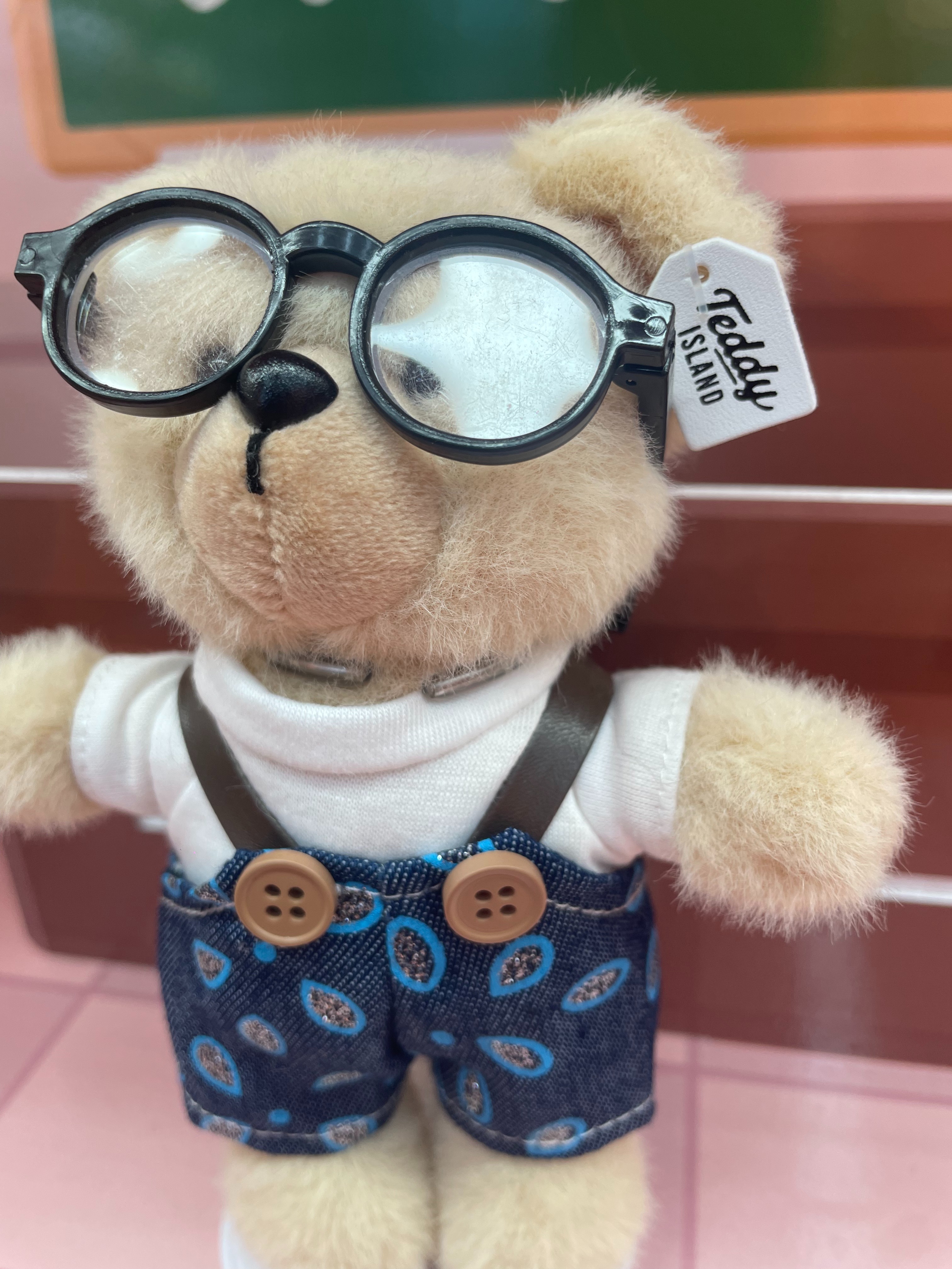 Teddy Ailan Plush Toy, Bear Doll, Plush Small Pendant 9 Item Picture