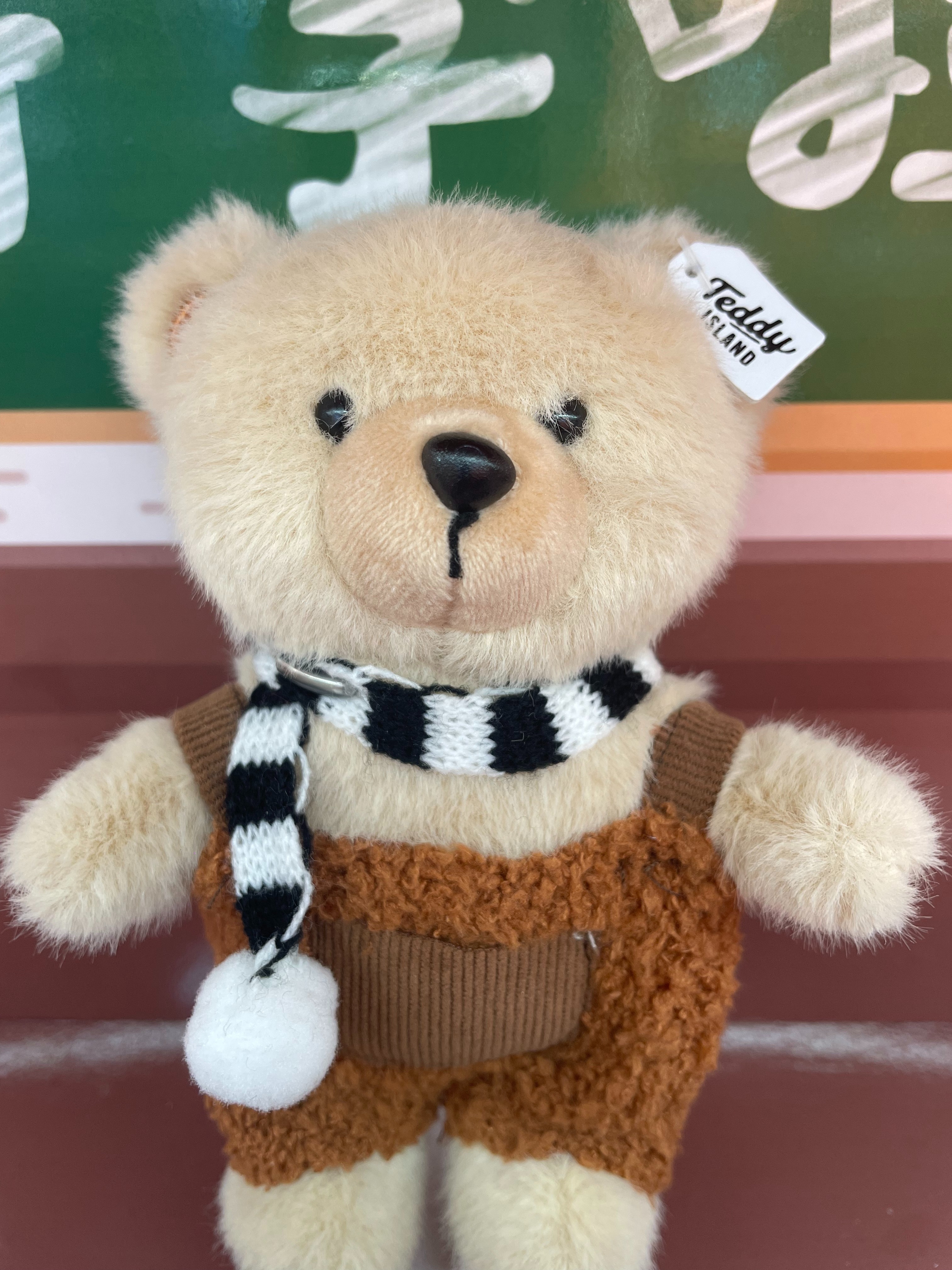 Teddy Ailan Plush Toy, Bear Doll, Plush Small Pendant 13 details Picture