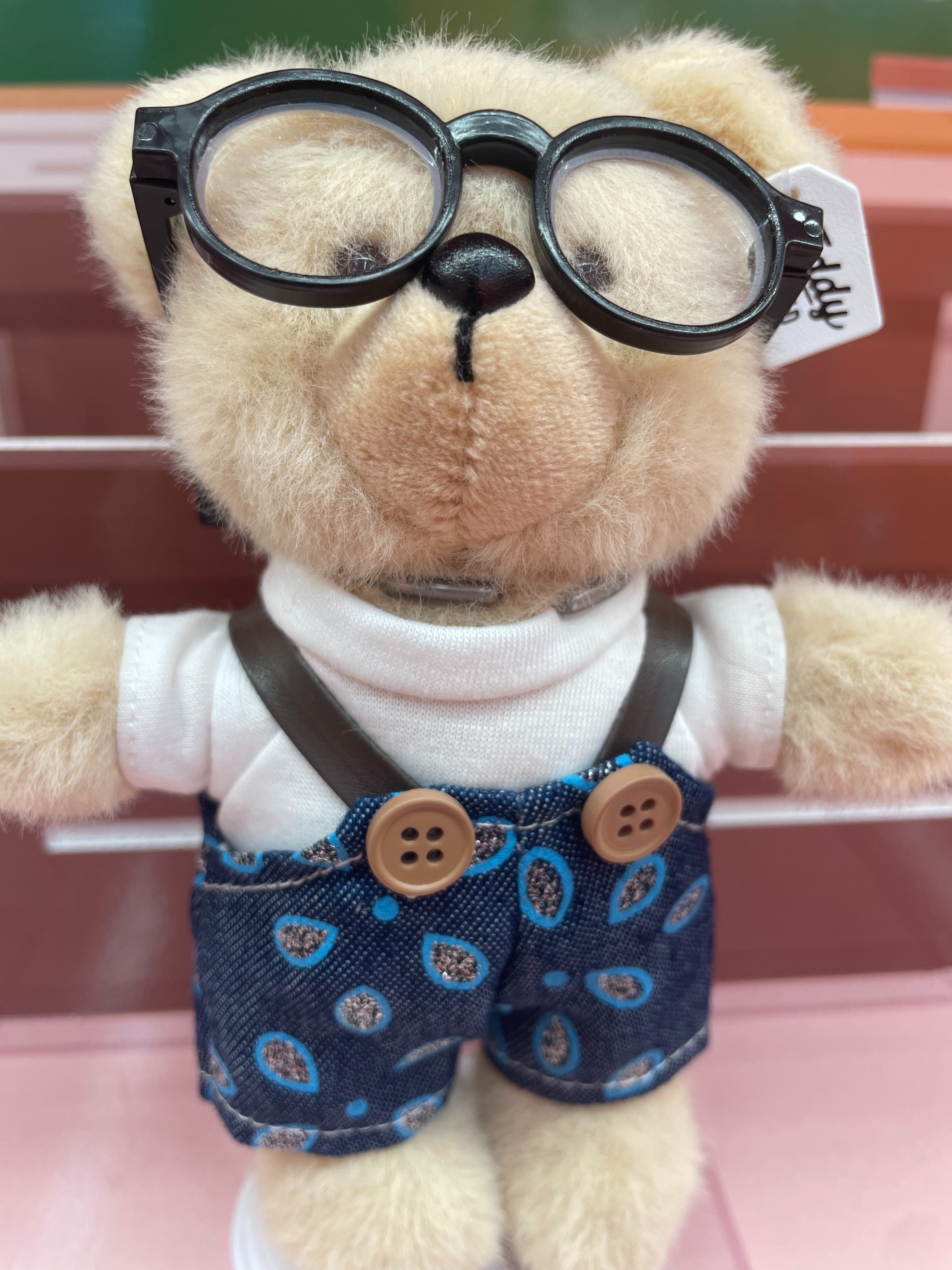 Teddy Ailan Plush Toy, Bear Doll, Plush Small Pendant 9