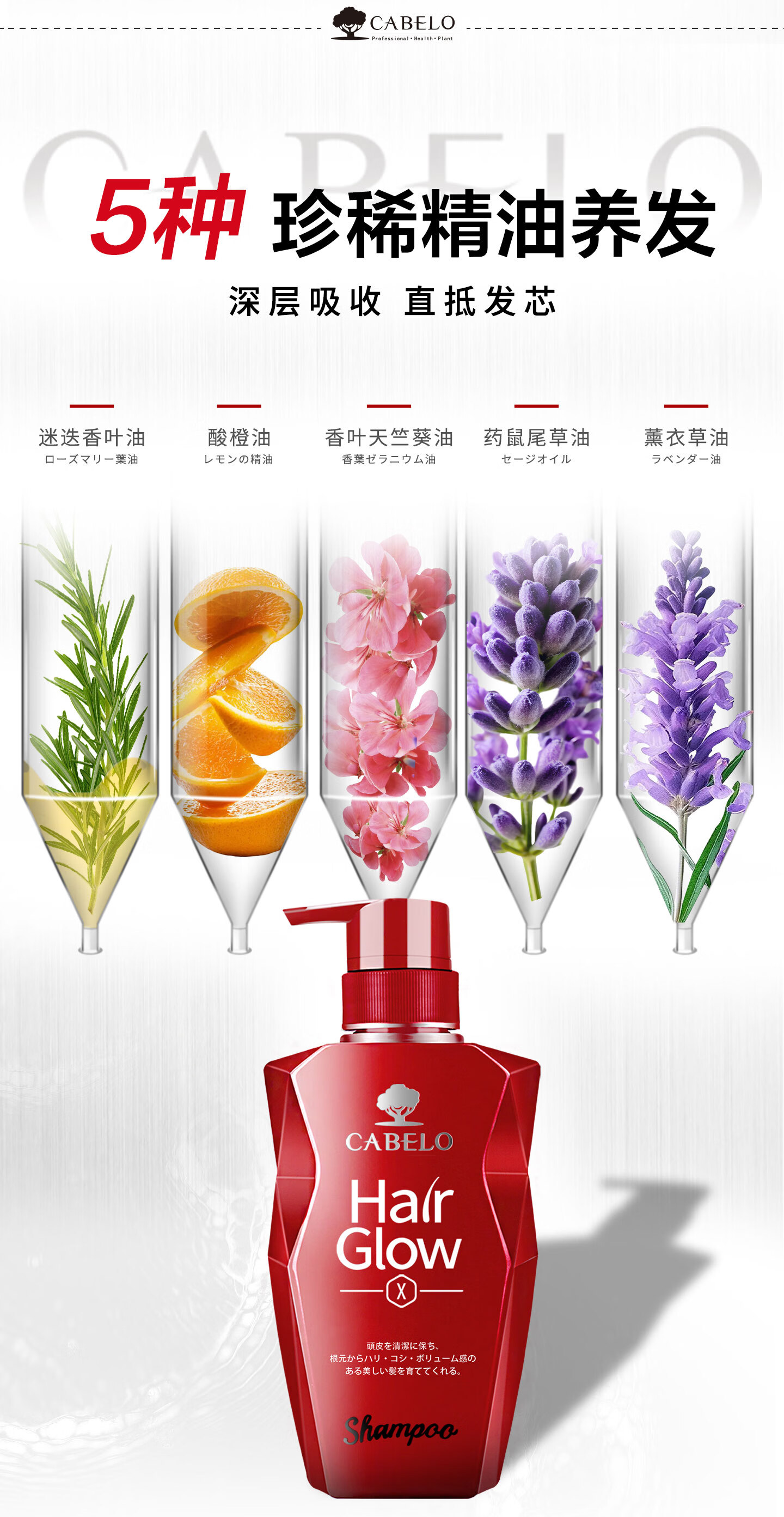卡蓓诺（CABELO）日本进口 防脱发强韧洗发水350ml 强根固发详情8