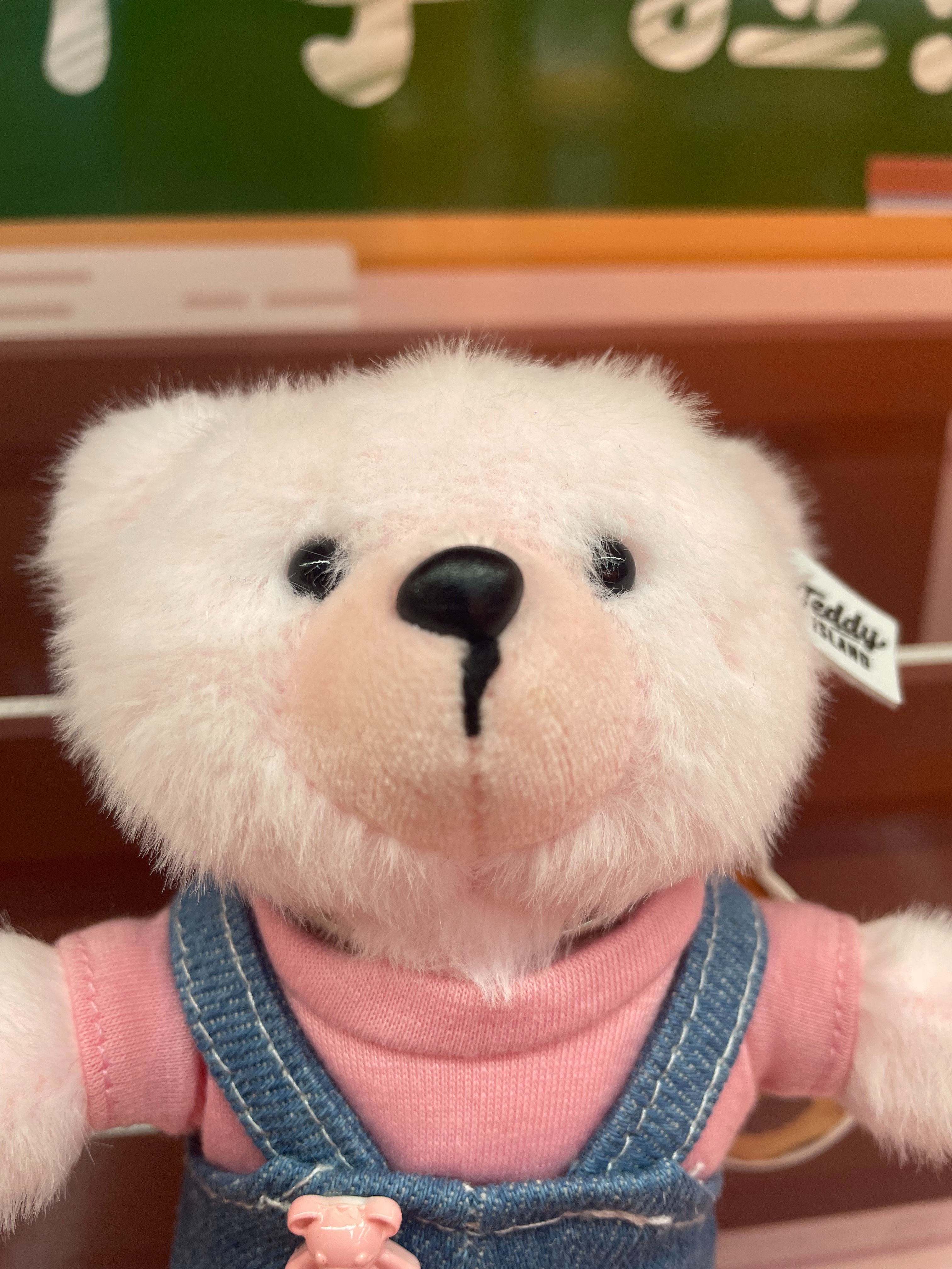 Teddy Ailan Plush Toy, Bear Doll, Plush Small Pendant 10 Item Picture