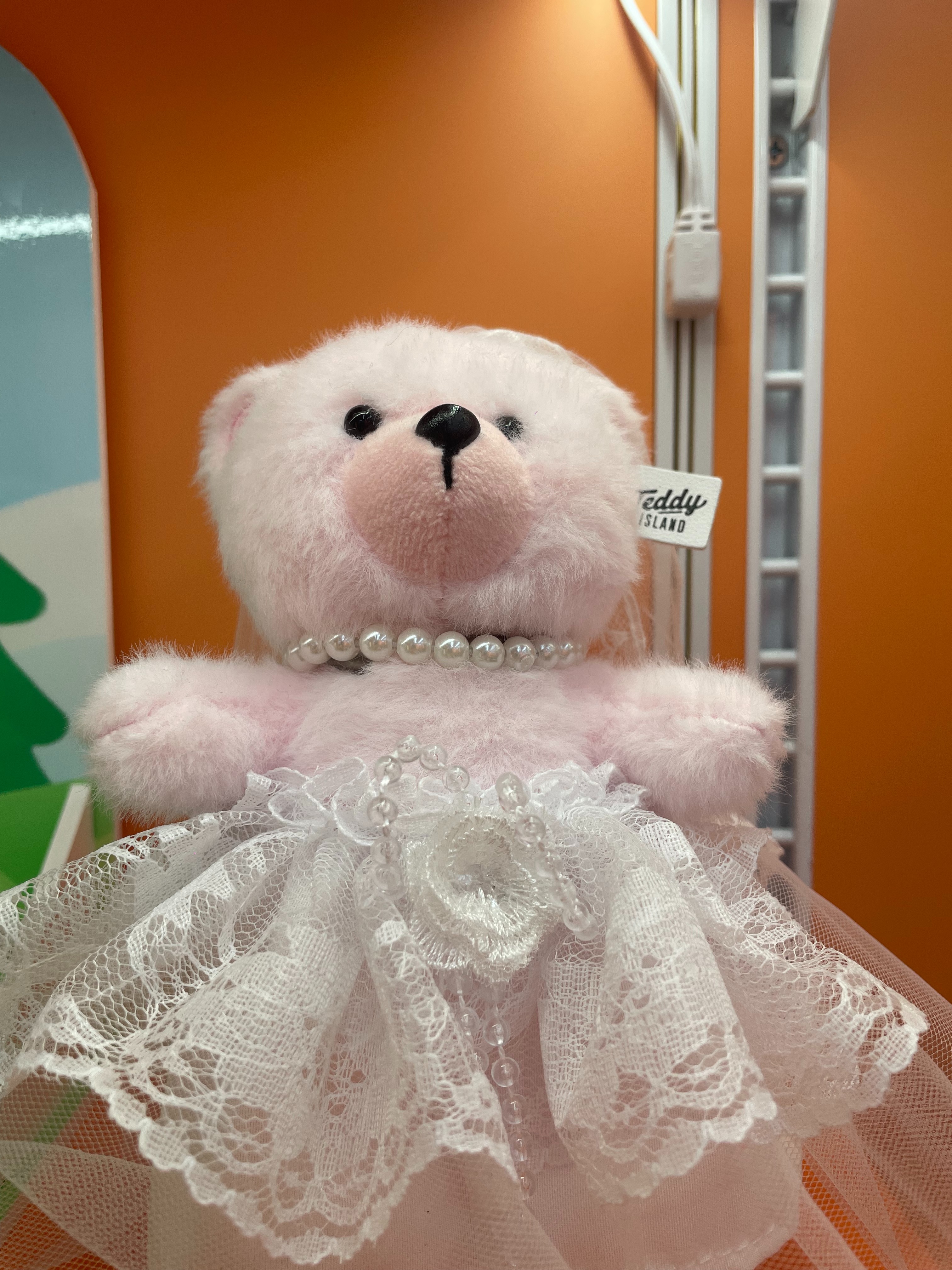 Teddy Ailan Plush Toy, Bear Doll, Plush Small Pendant 7 Specification drawing