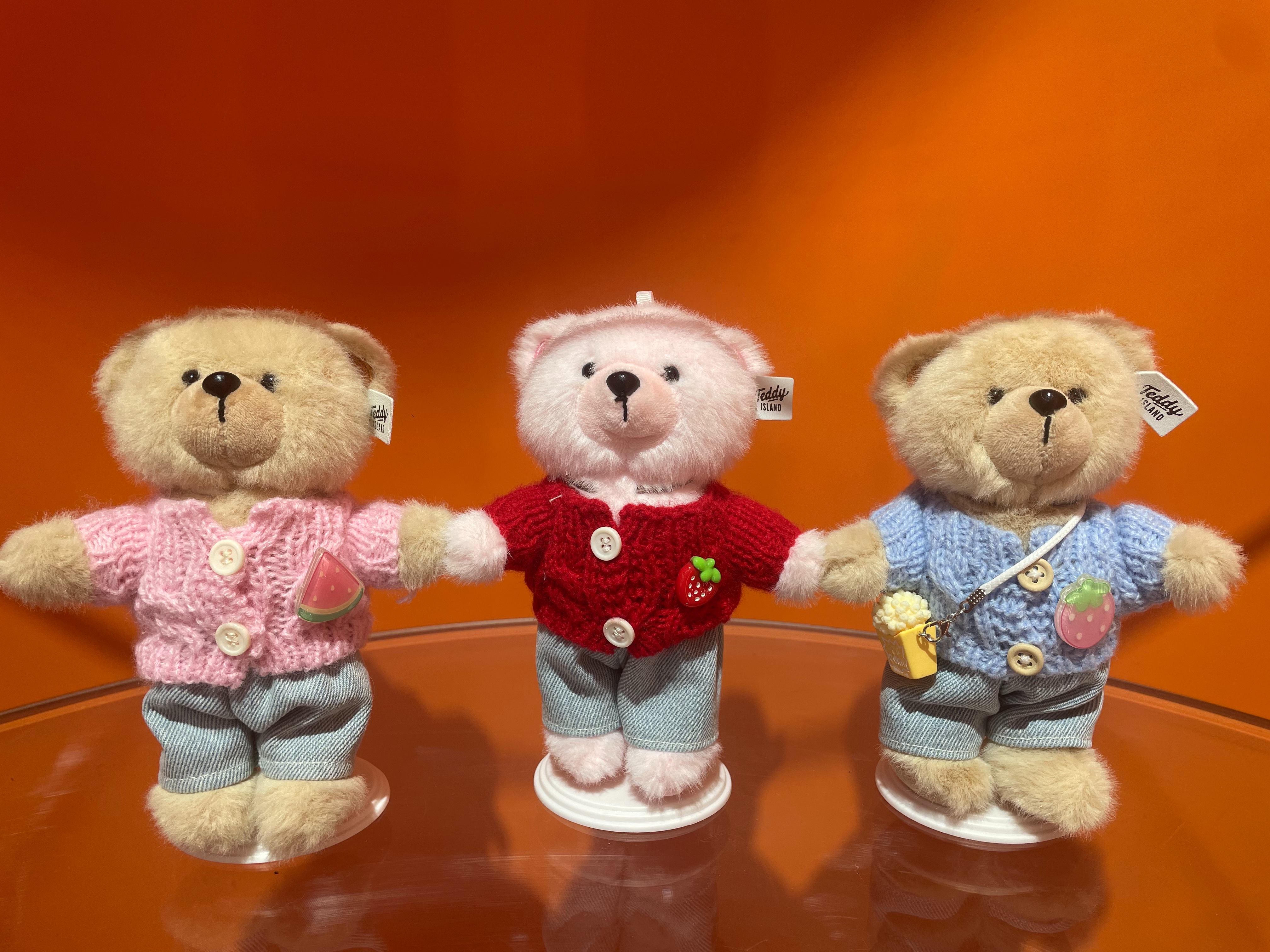 泰迪爱兰毛绒公仔小熊玩偶娃娃毛绒小挂件19