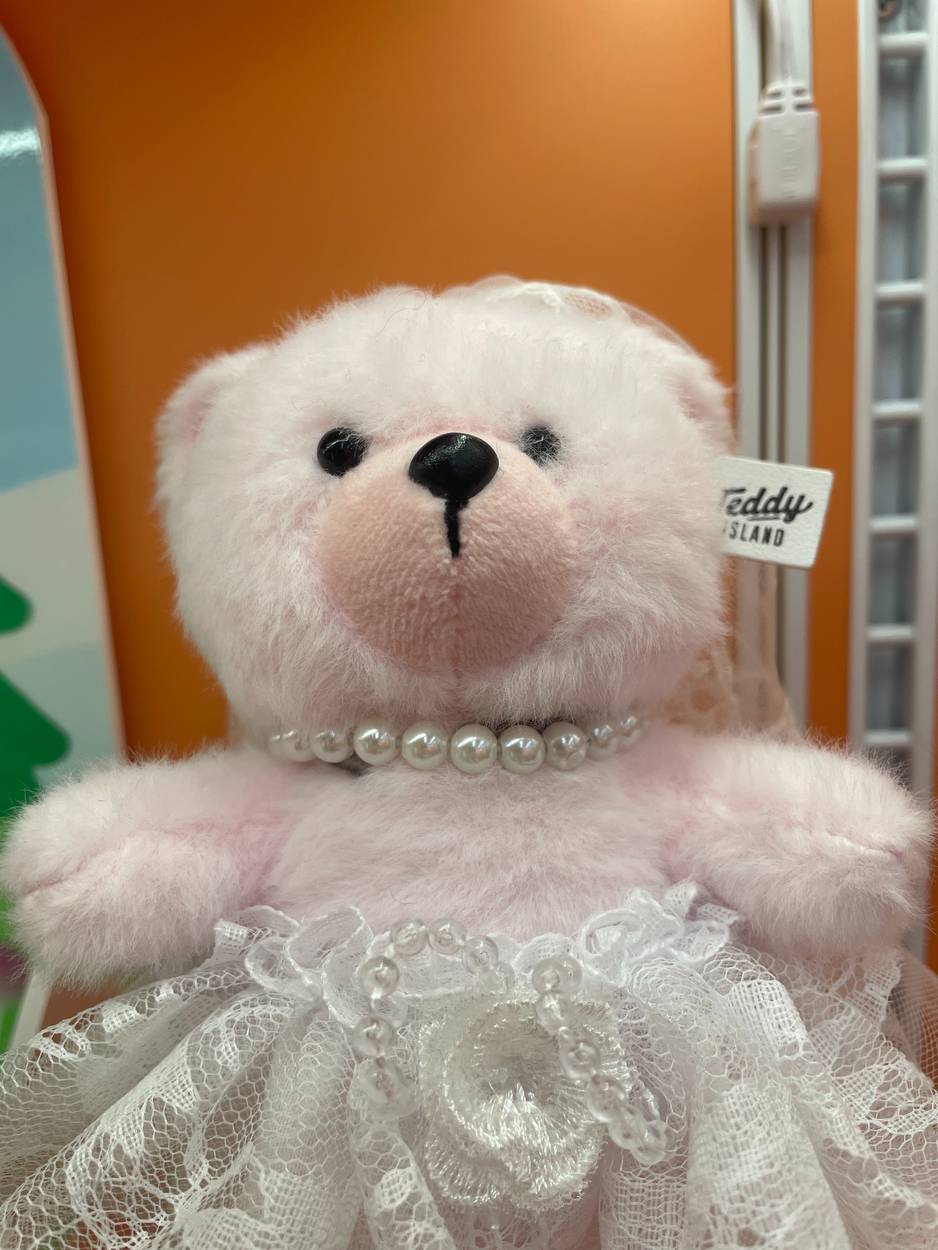 Teddy Ailan Plush Toy, Bear Doll, Plush Small Pendant 7 Application Scenario