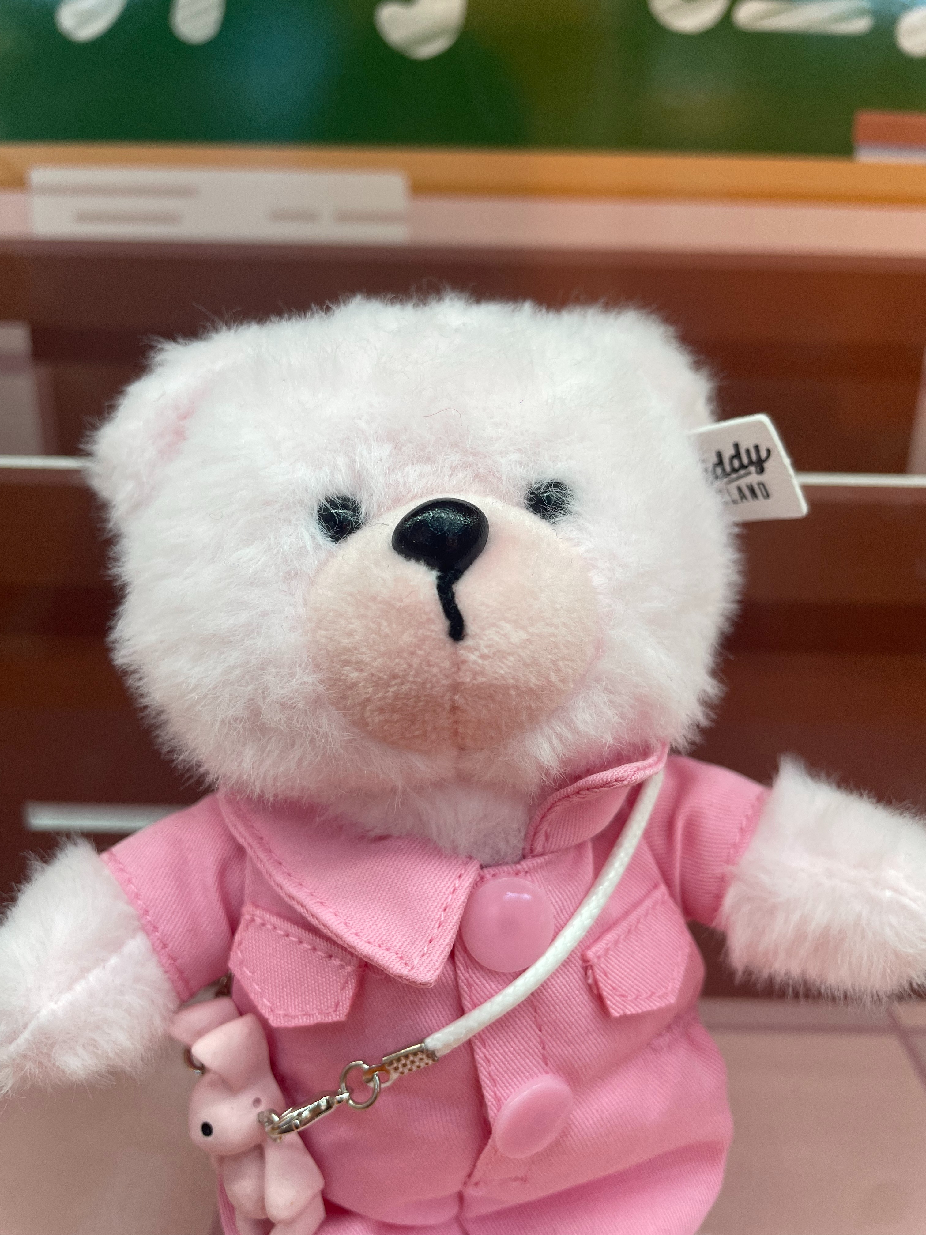 Teddy Ailan Plush Toy, Bear Doll, Plush Small Pendant 1 Specification drawing