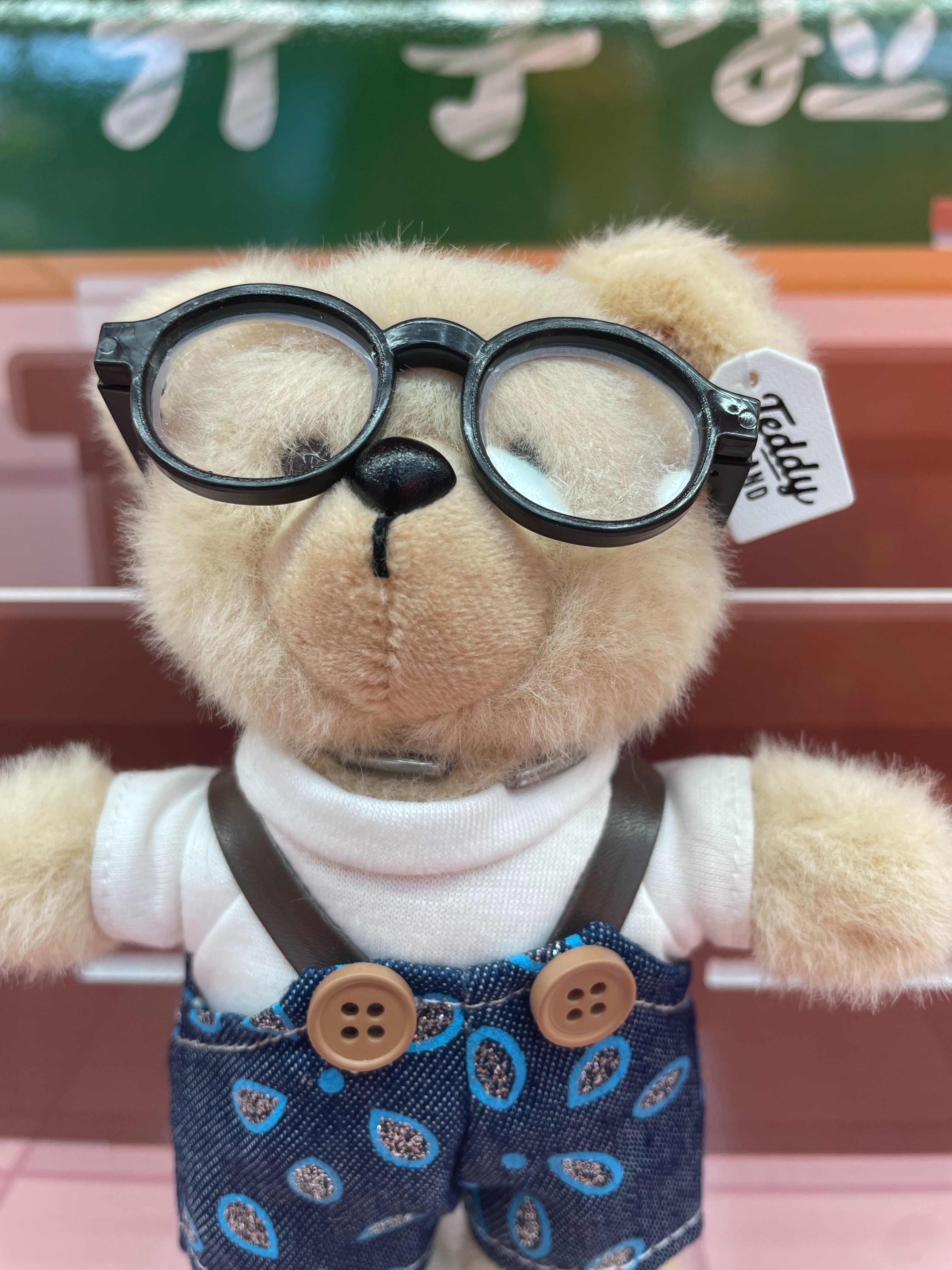 Teddy Ailan Plush Toy, Bear Doll, Plush Small Pendant 9 Specification drawing