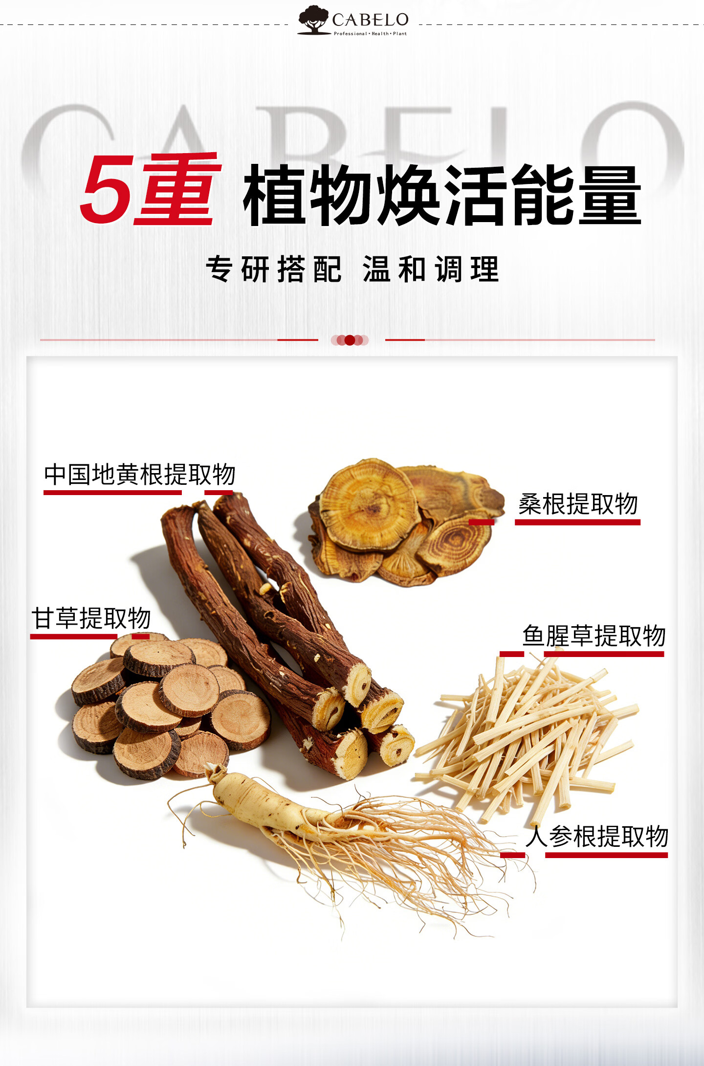 卡蓓诺（CABELO）日本进口 防脱发强韧洗发水350ml 强根固发详情9