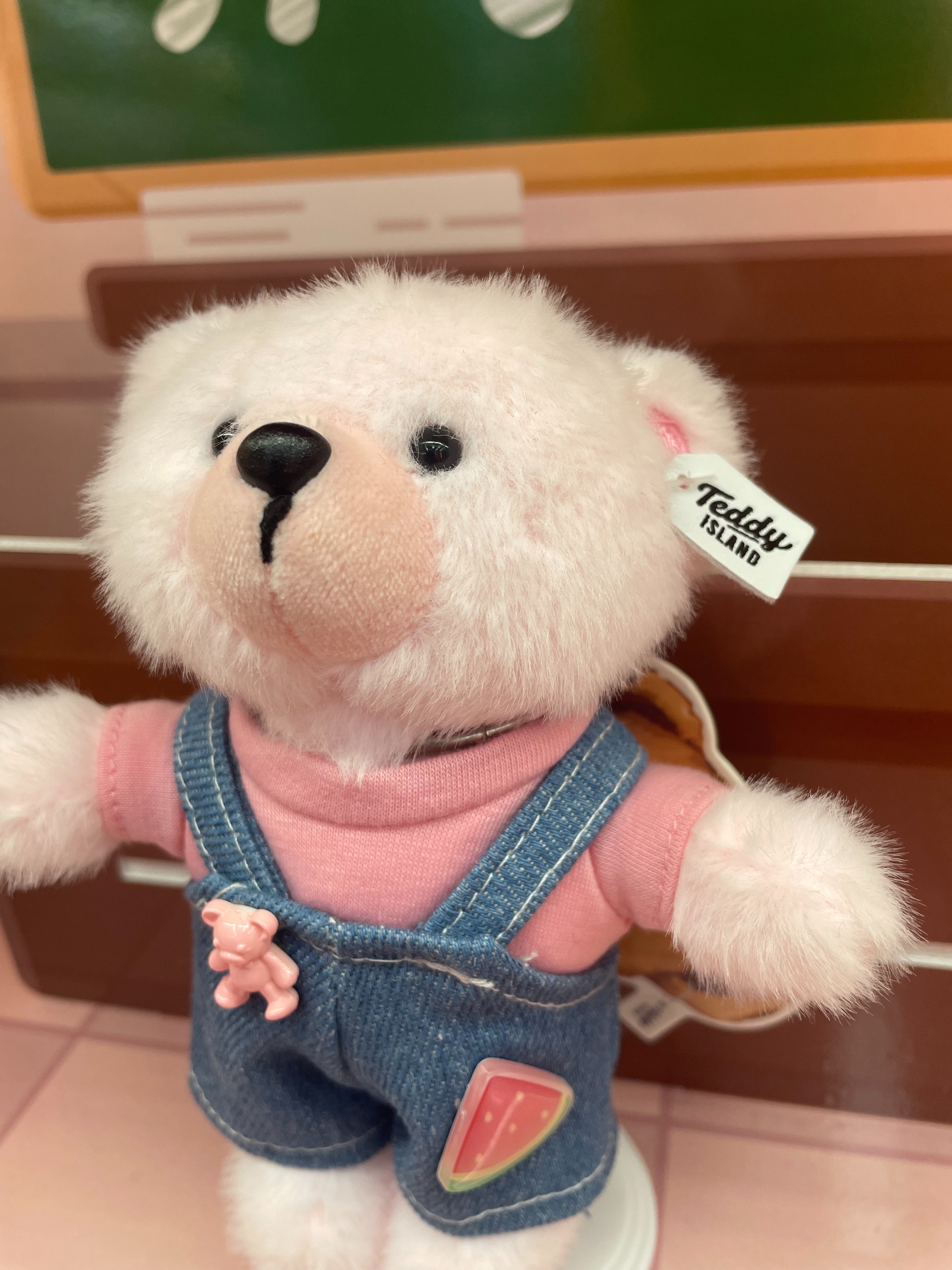 Teddy Ailan Plush Toy, Bear Doll, Plush Small Pendant 10 Specification drawing