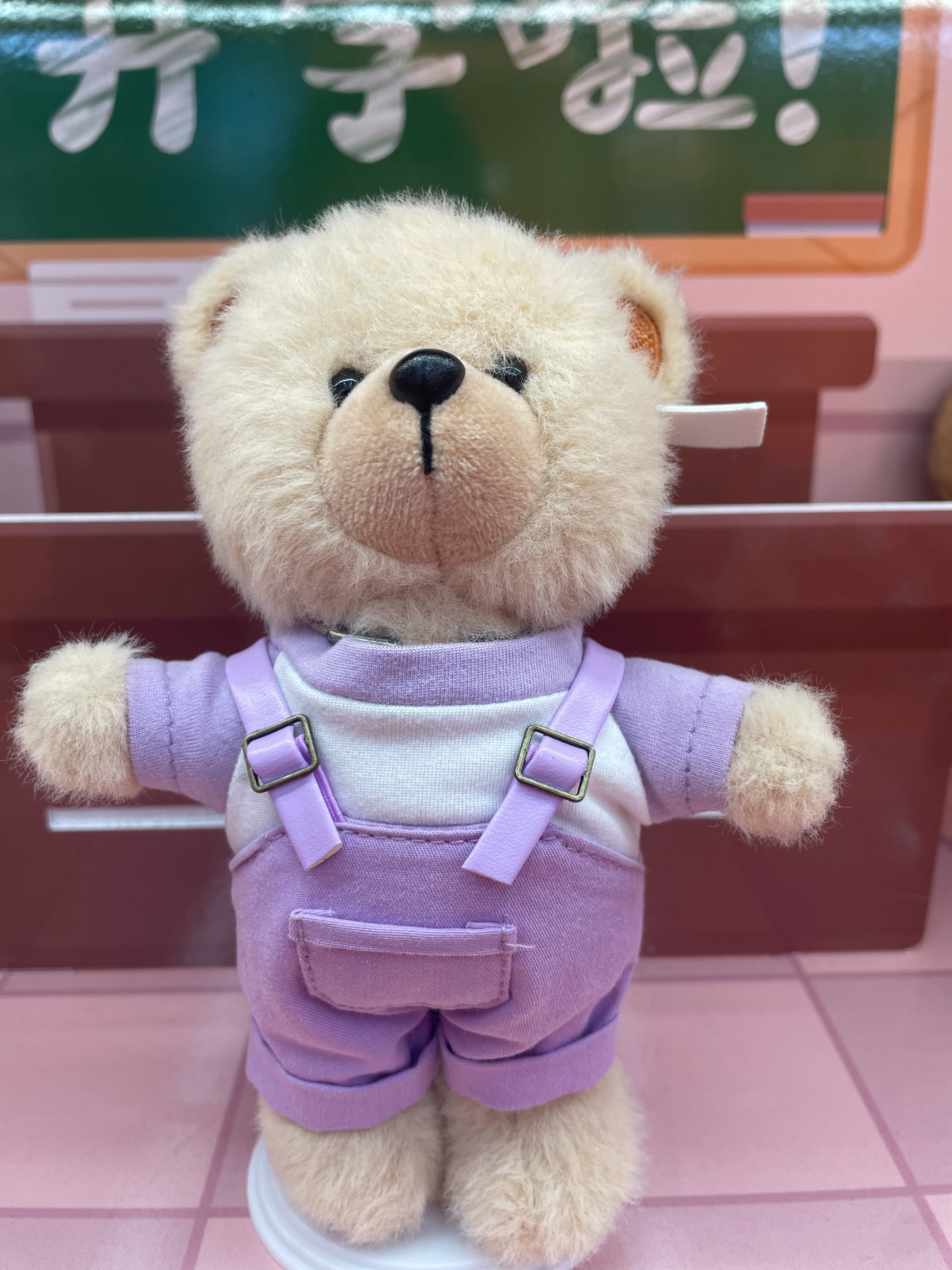 Teddy Ailan Plush Toy, Bear Doll, Plush Small Pendant 4 Application Scenario