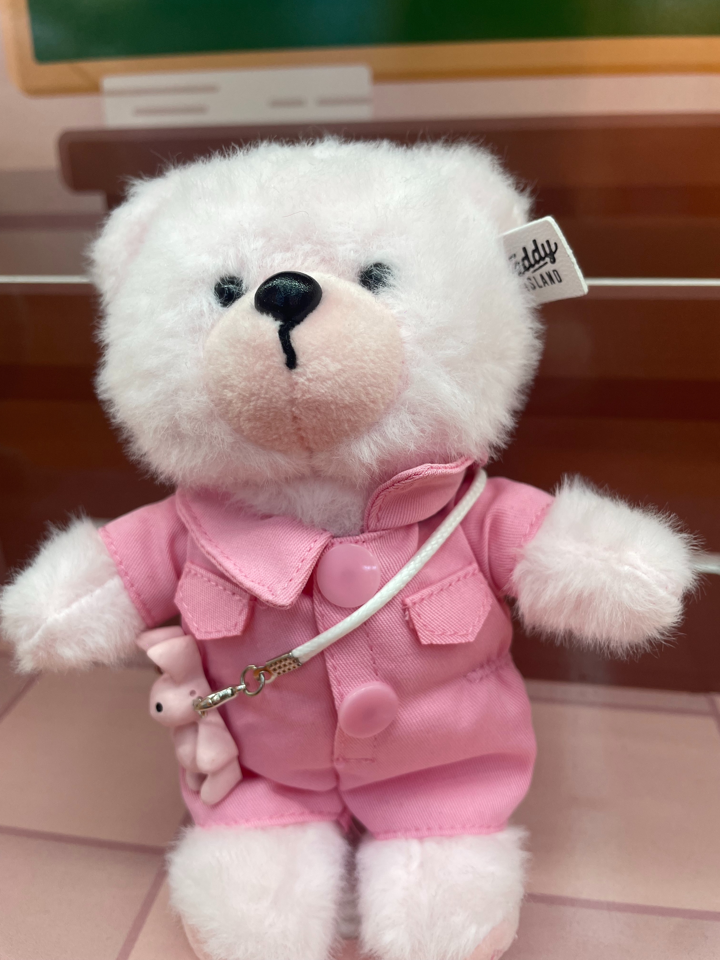 Teddy Ailan Plush Toy, Bear Doll, Plush Small Pendant 1 Application Scenario