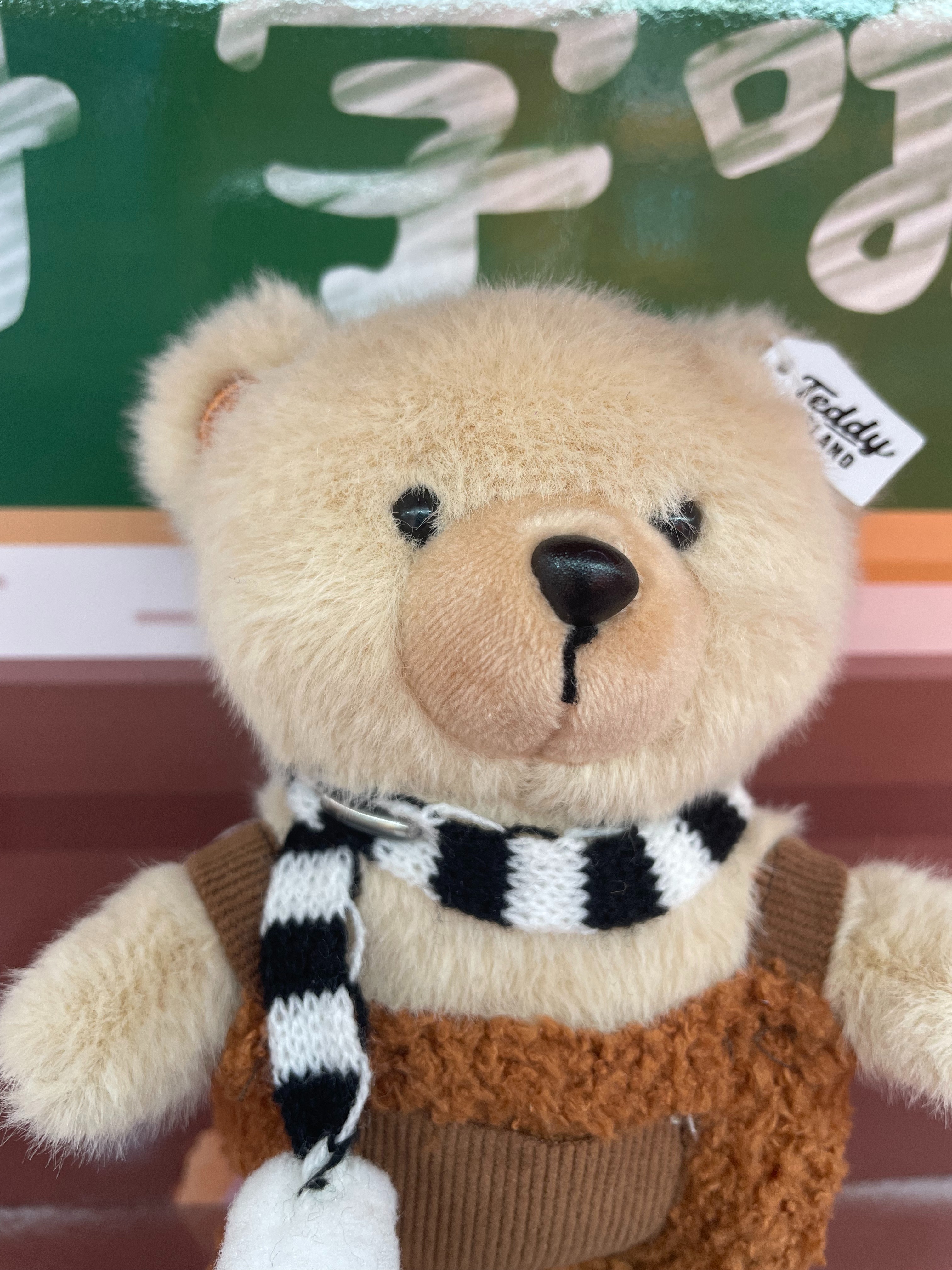 Teddy Ailan Plush Toy, Bear Doll, Plush Small Pendant 13 Specification drawing