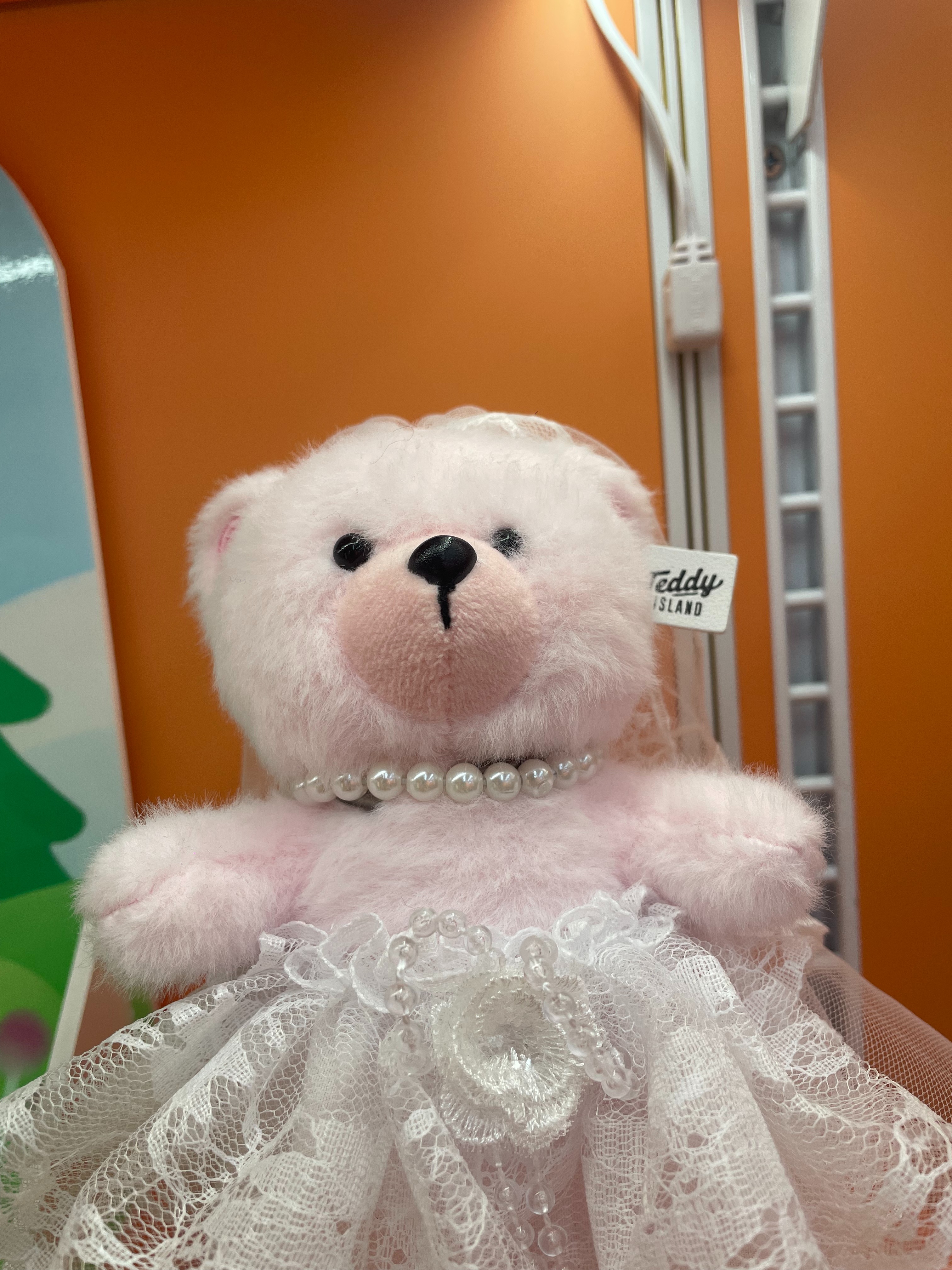 Teddy Ailan Plush Toy, Bear Doll, Plush Small Pendant 7 Item Picture