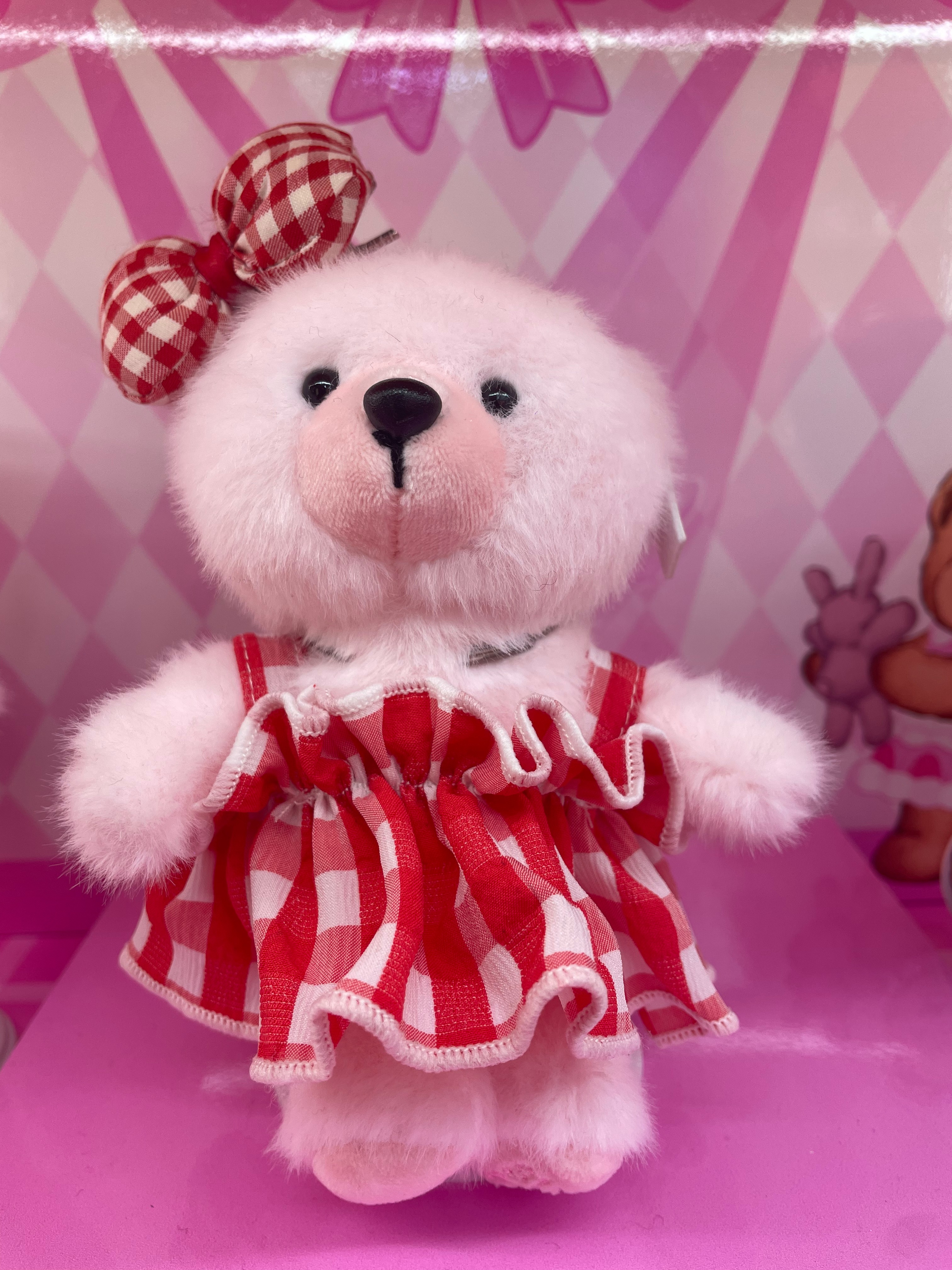 Teddy Ailan Plush Toy Bear Doll Plush Trinket 18 details Picture