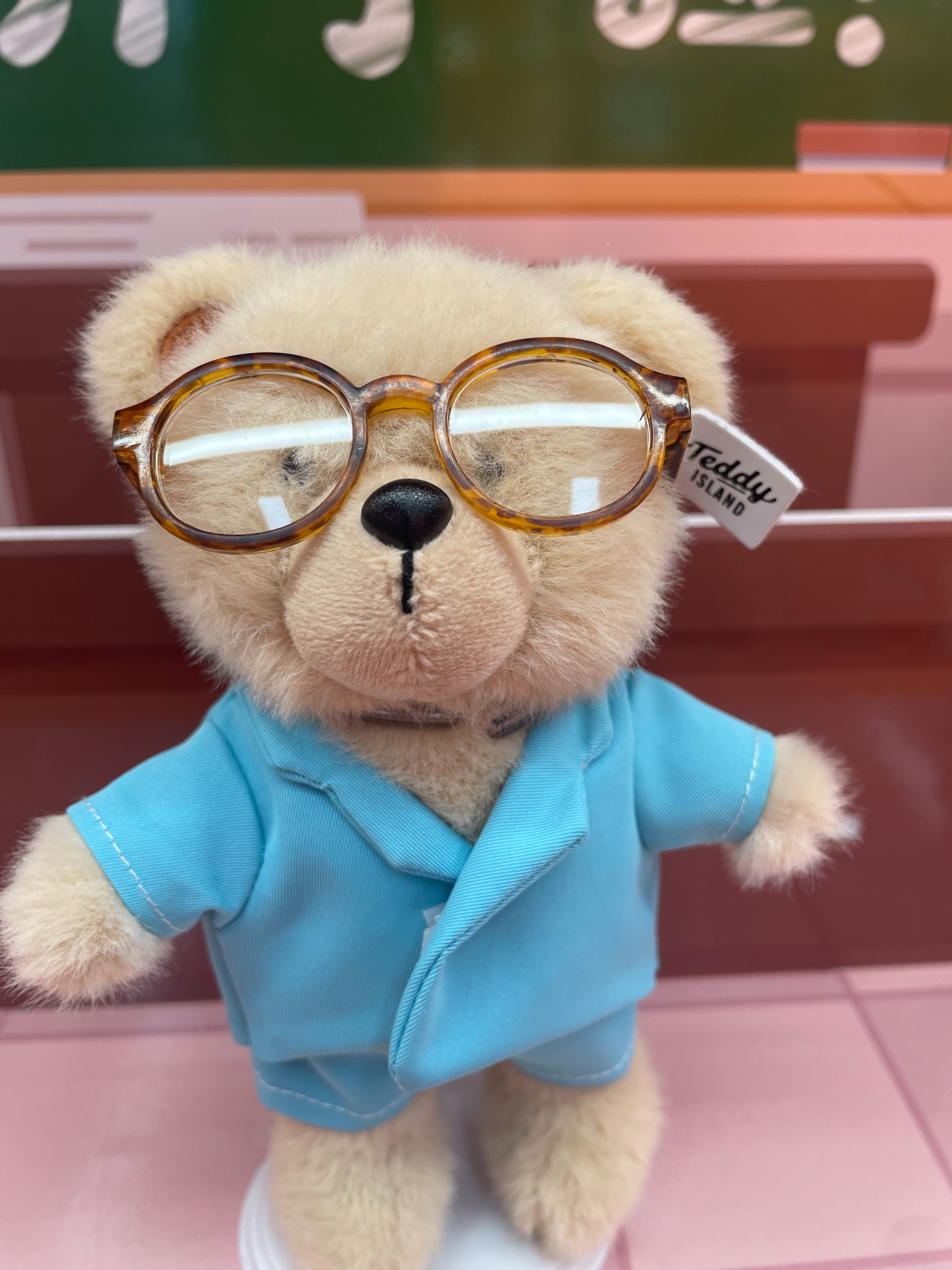 泰迪爱兰毛绒公仔小熊玩偶娃娃毛绒小挂件11