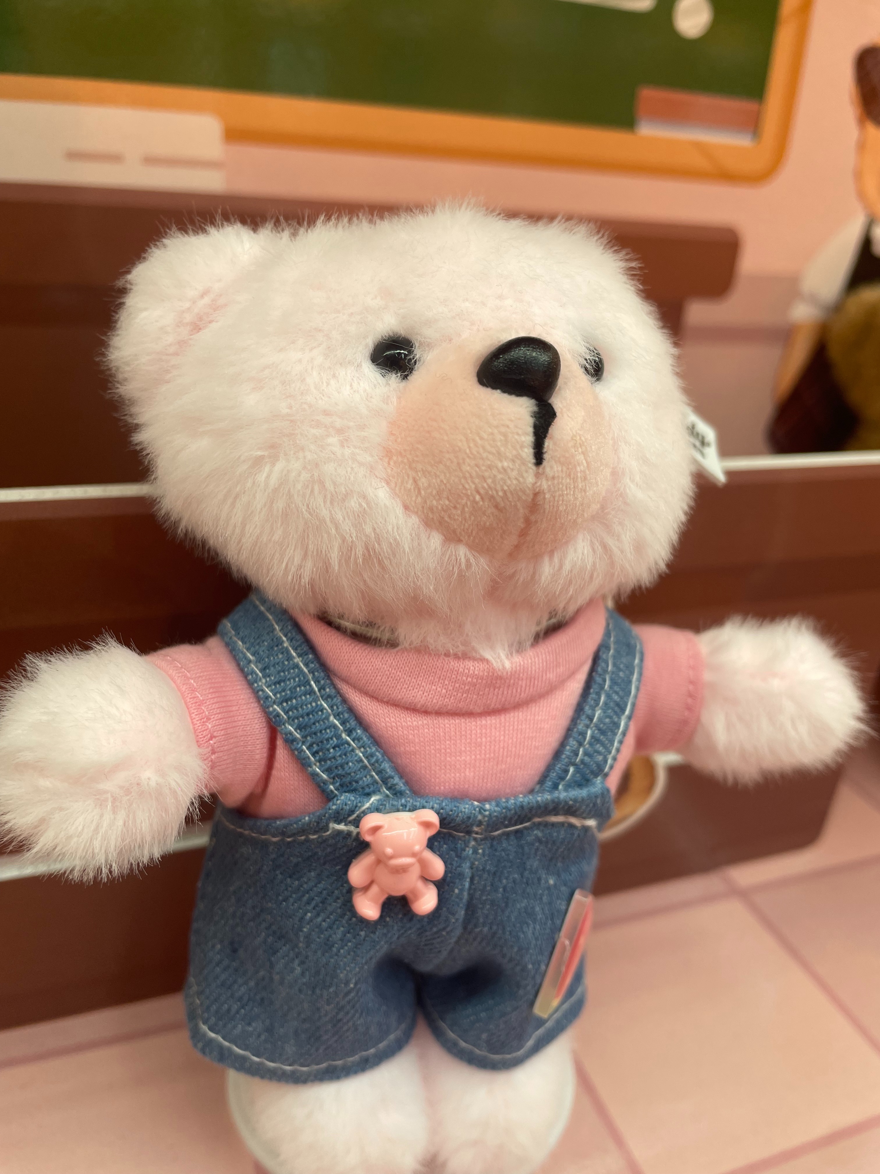 Teddy Ailan Plush Toy, Bear Doll, Plush Small Pendant 10 details Picture