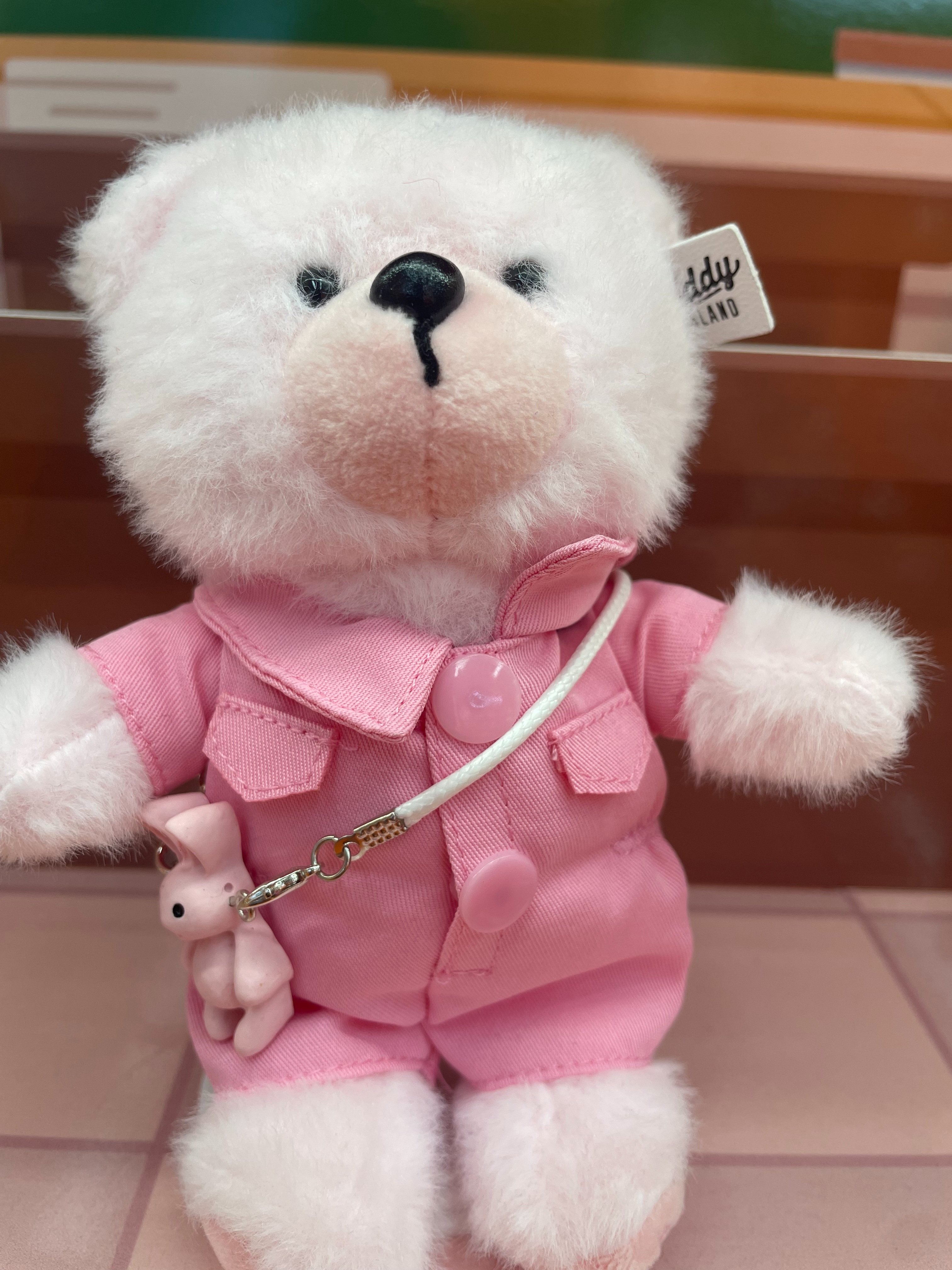 Teddy Ailan Plush Toy, Bear Doll, Plush Small Pendant 1