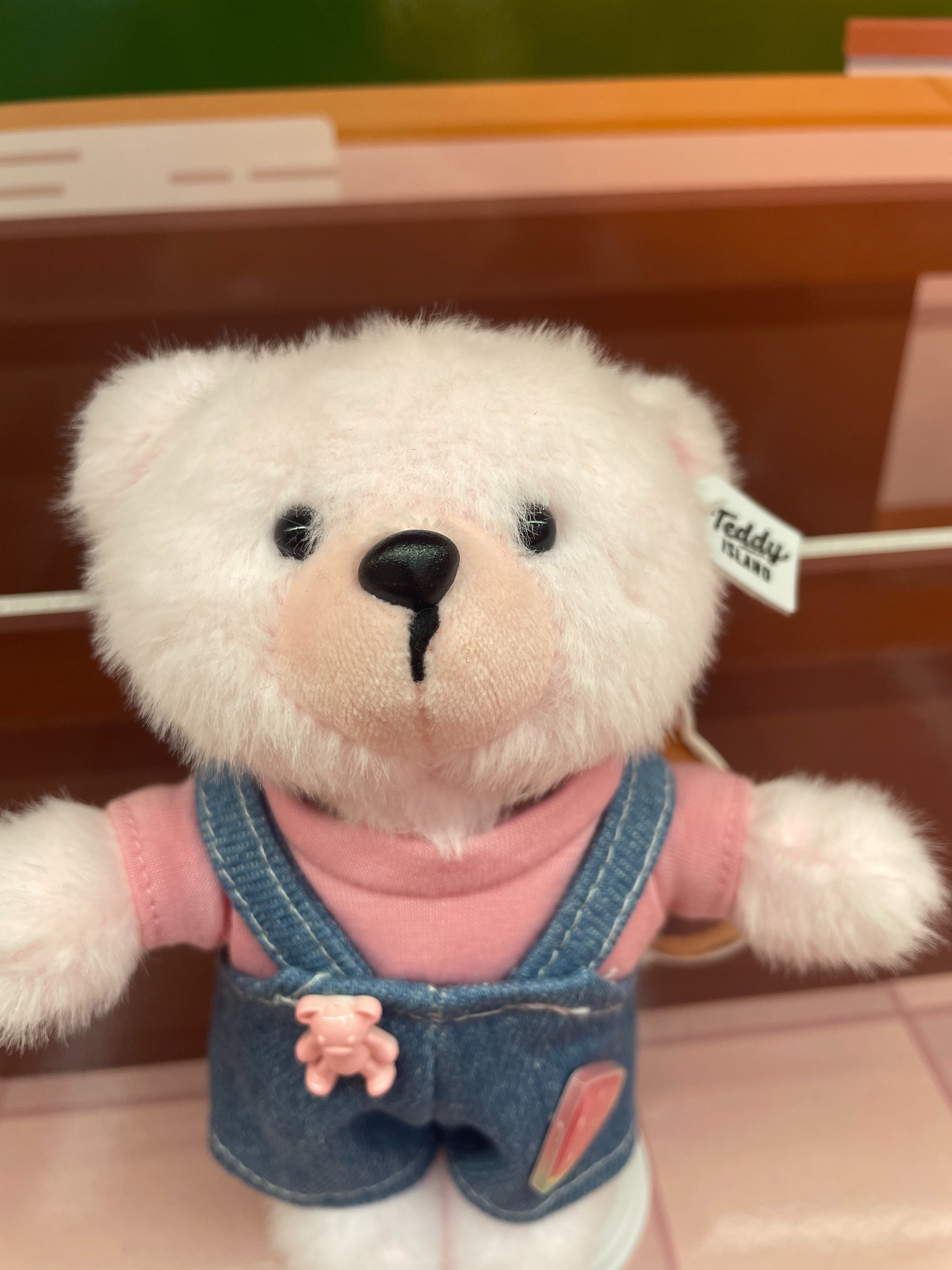 Teddy Ailan Plush Toy, Bear Doll, Plush Small Pendant 10 Application Scenario