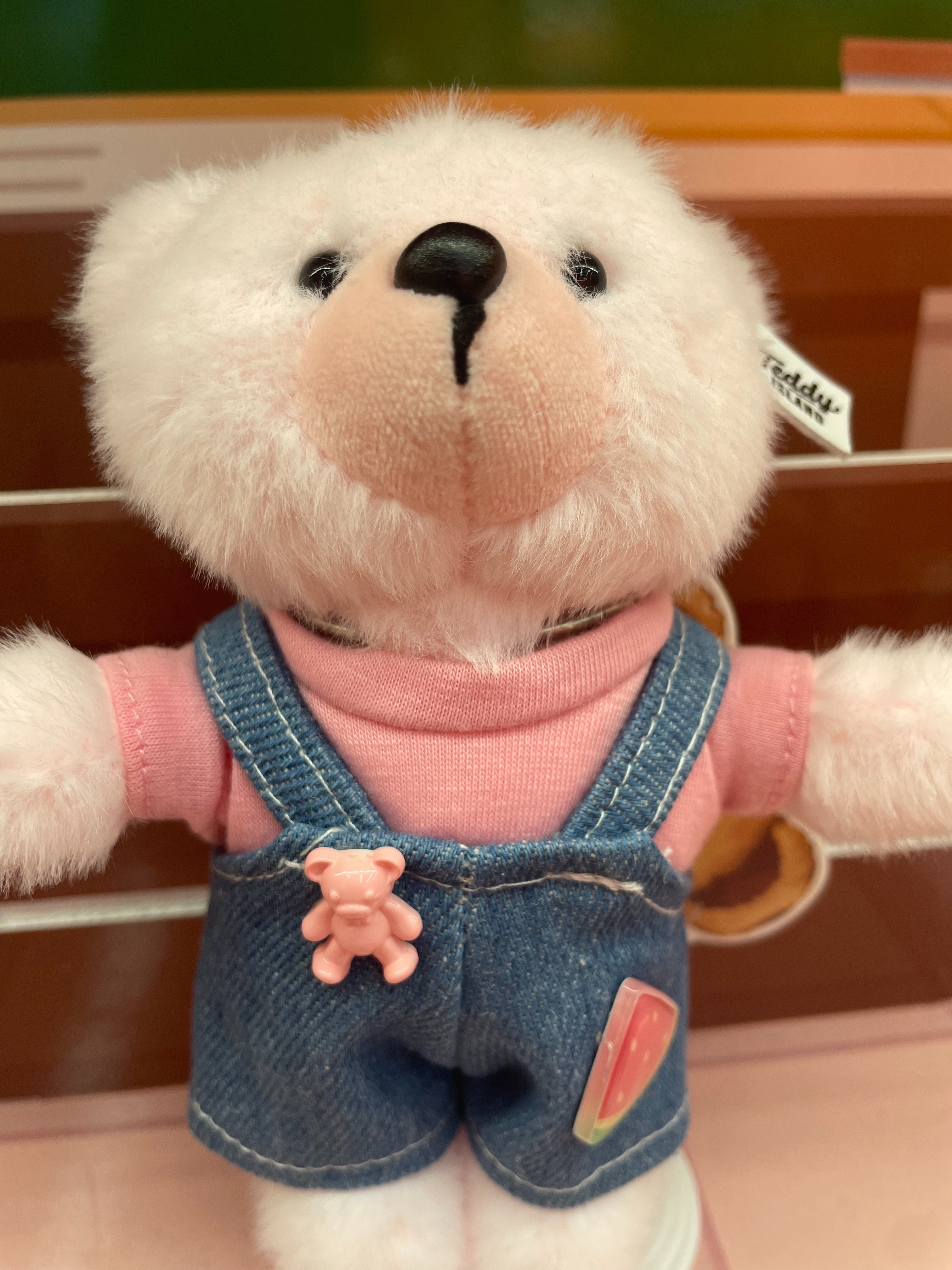 Teddy Ailan Plush Toy, Bear Doll, Plush Small Pendant 10