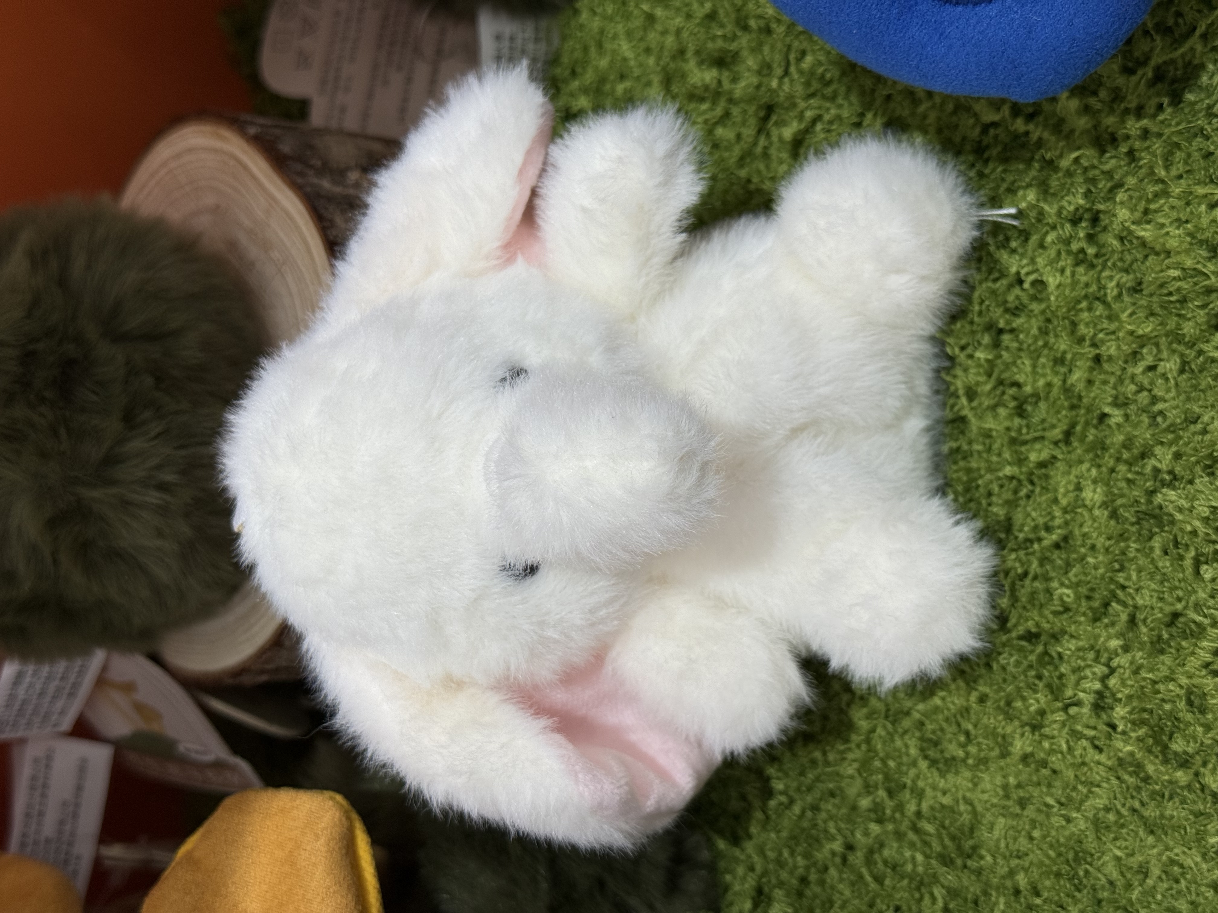 毛绒玩具/玩偶/潮流玩具/批发毛绒玩具/定制毛绒玩具细节图