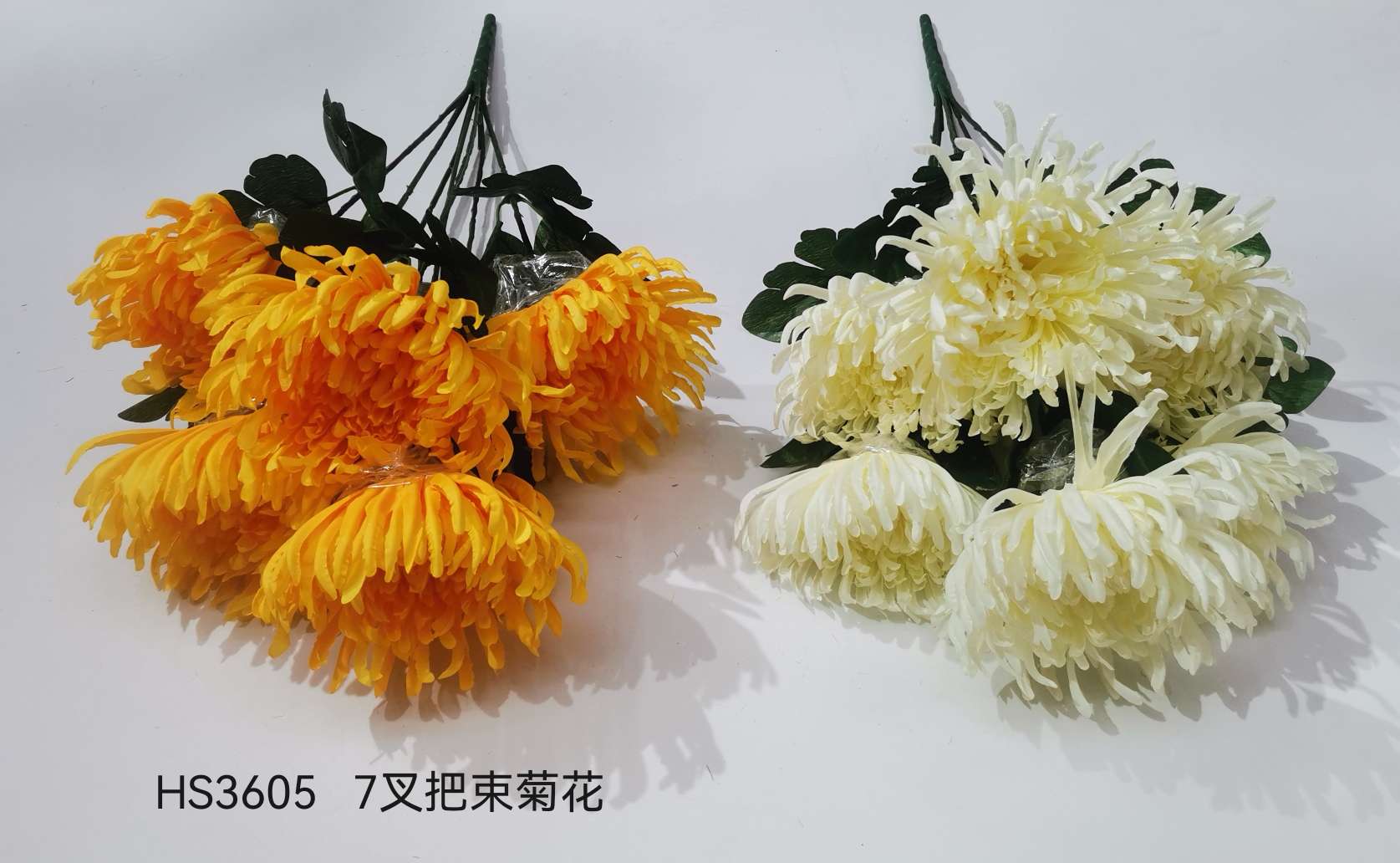 菊花白底实物图