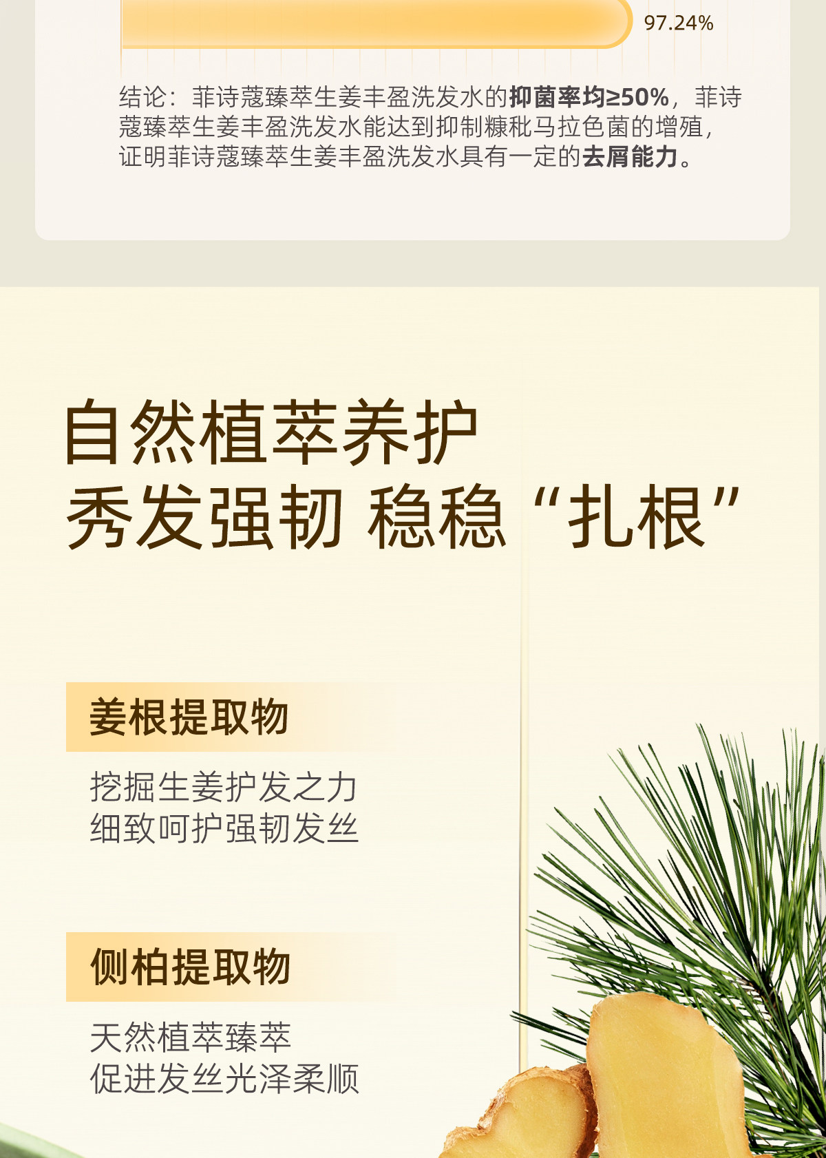 菲诗蔻（Ficcecode）生姜臻萃洗发水450ml控油去屑强韧健发洗发露丰盈洗头膏澳洲进口详情6