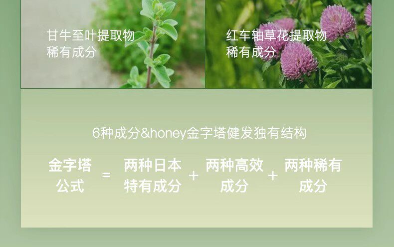 安蒂花子&honey安蒂花子洗发水深层滋养修护受损补水保湿柔顺护发素 樱花丰盈洗发水440ml详情5