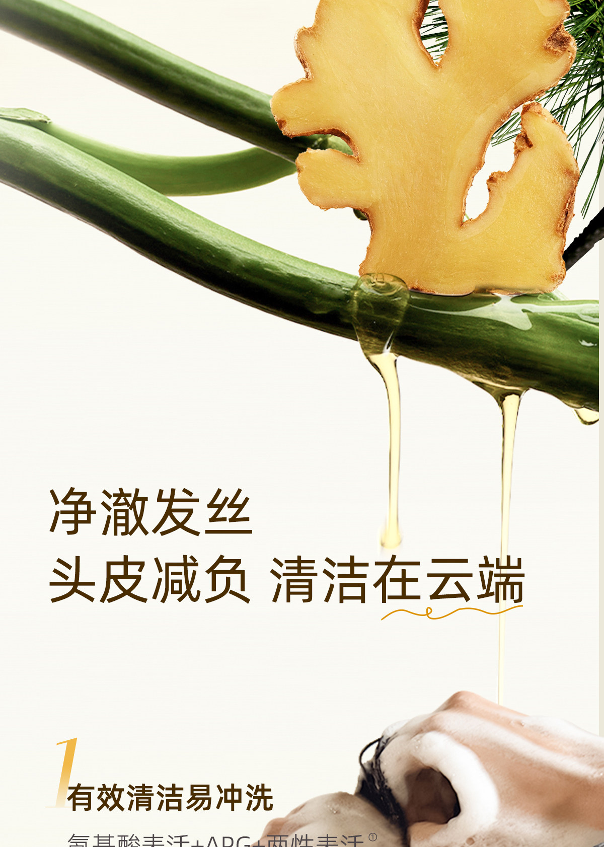 菲诗蔻（Ficcecode）生姜臻萃洗发水450ml控油去屑强韧健发洗发露丰盈洗头膏澳洲进口详情7