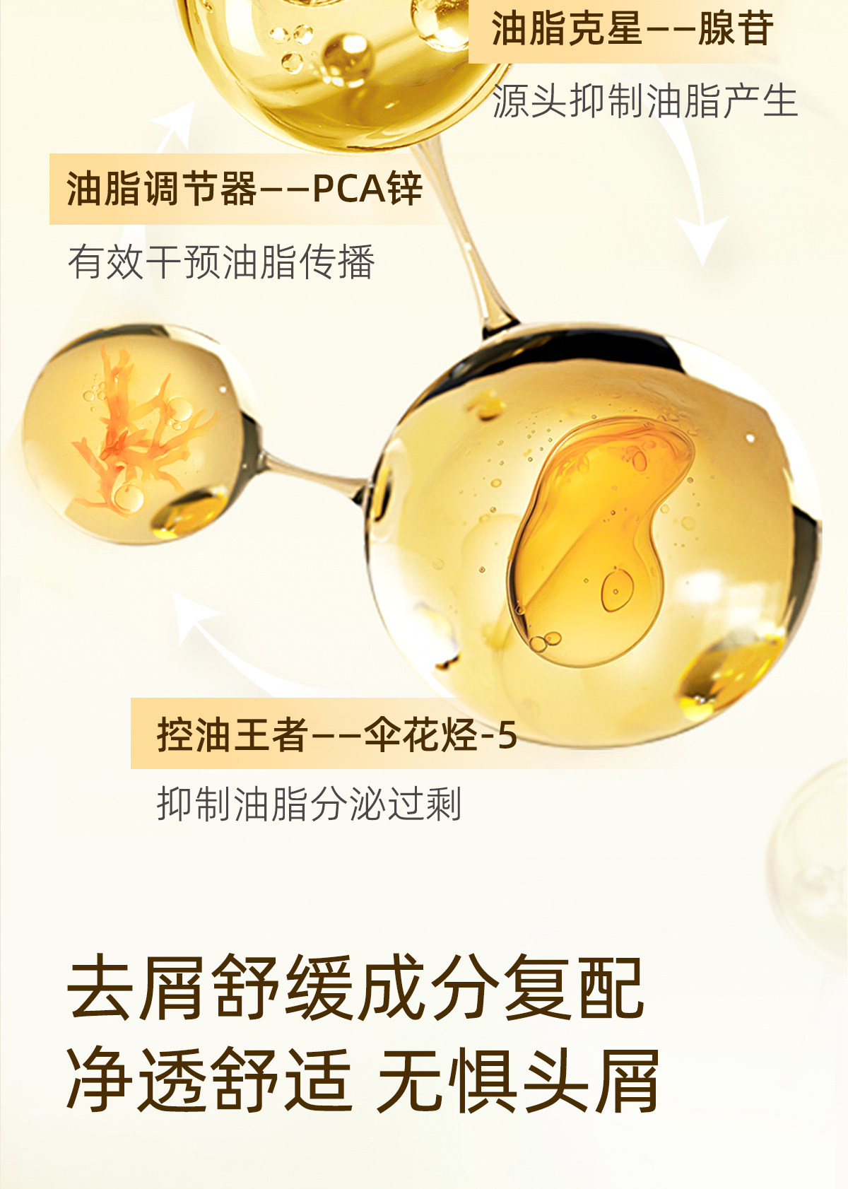 菲诗蔻（Ficcecode）生姜臻萃洗发水450ml控油去屑强韧健发洗发露丰盈洗头膏澳洲进口详情4