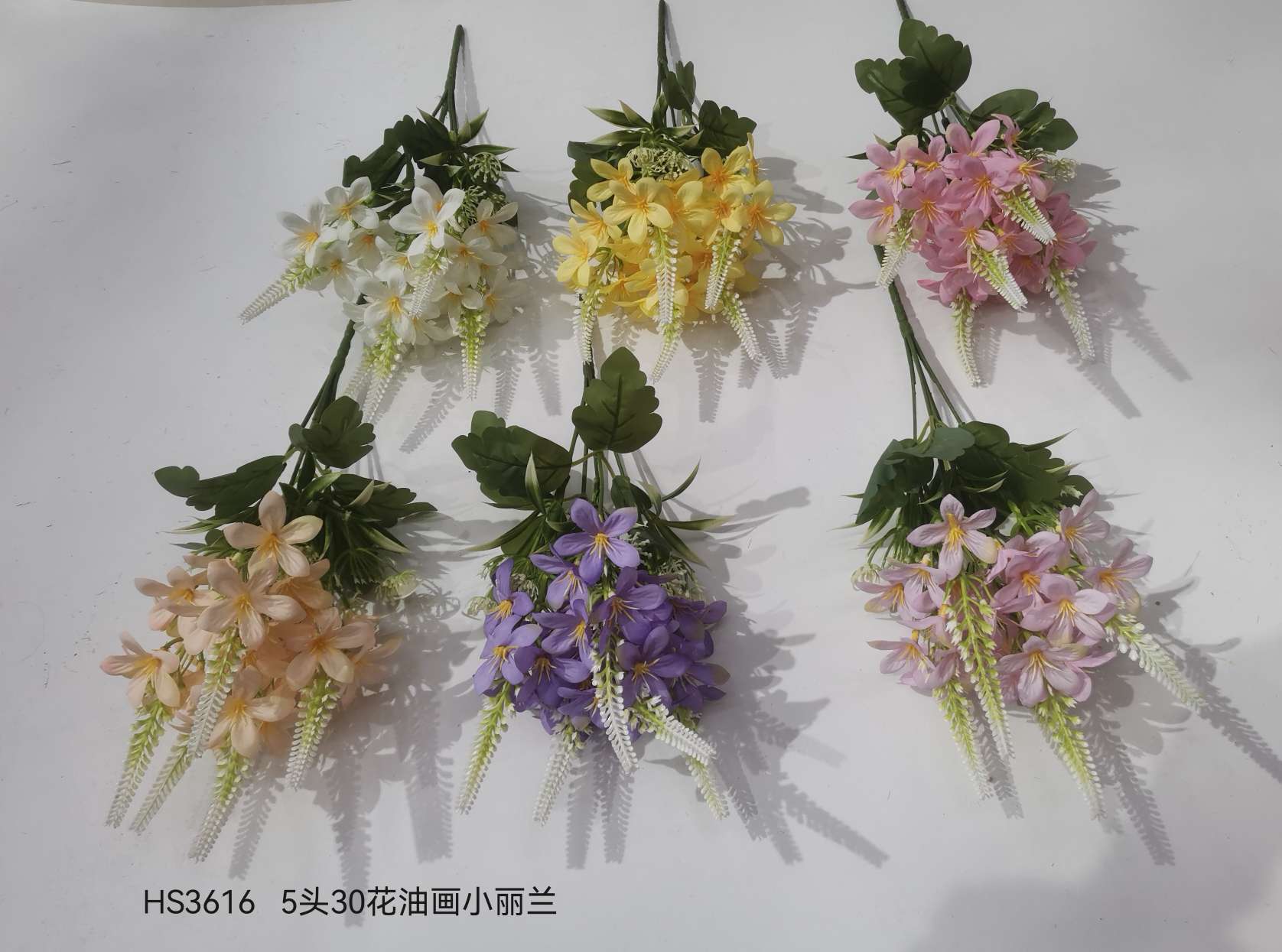 花卉白底实物图