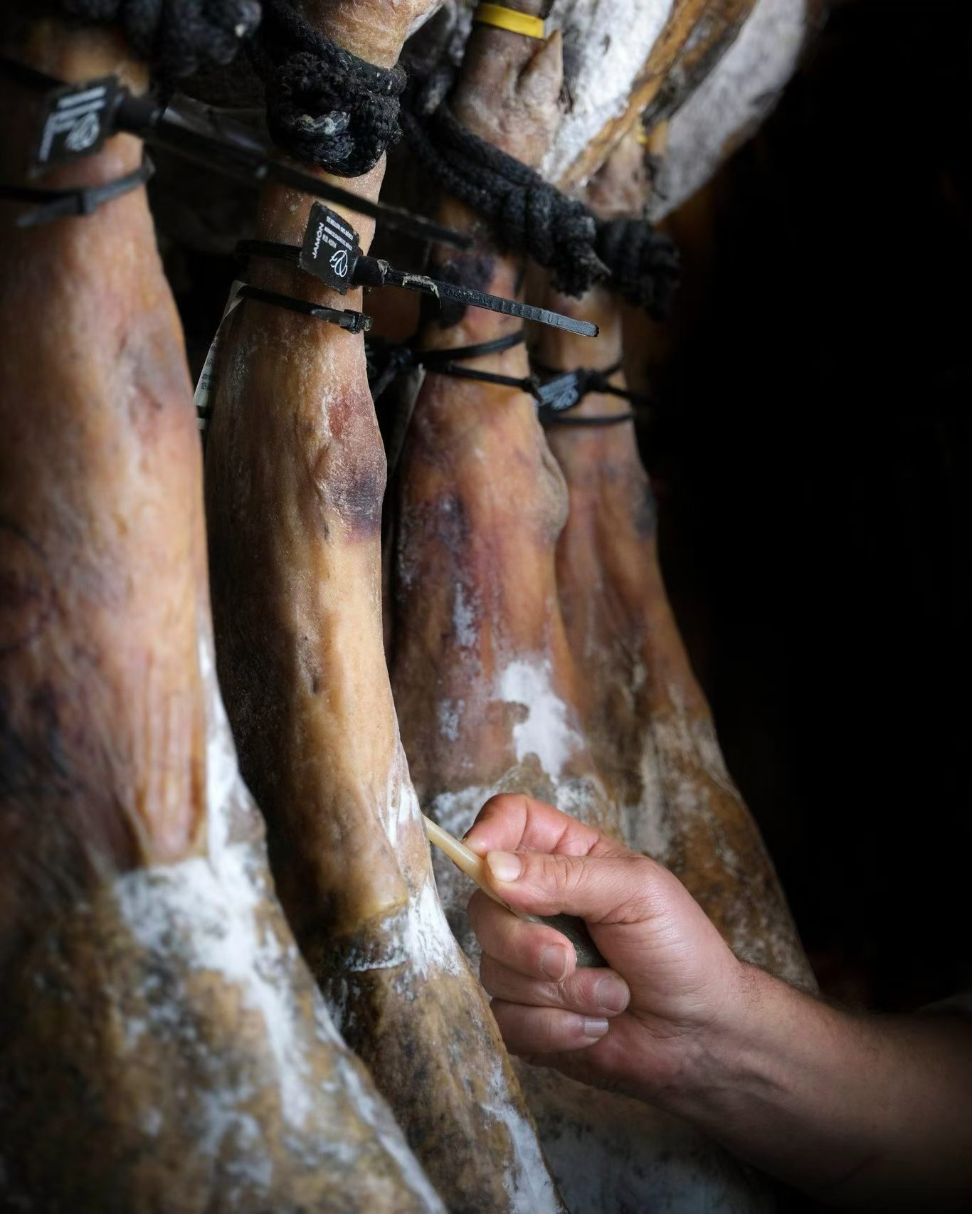 Jamón ibérico de cerdo negro en caja naranja en caja regalo selección importada de españa (etiqueta verde) pic 5
