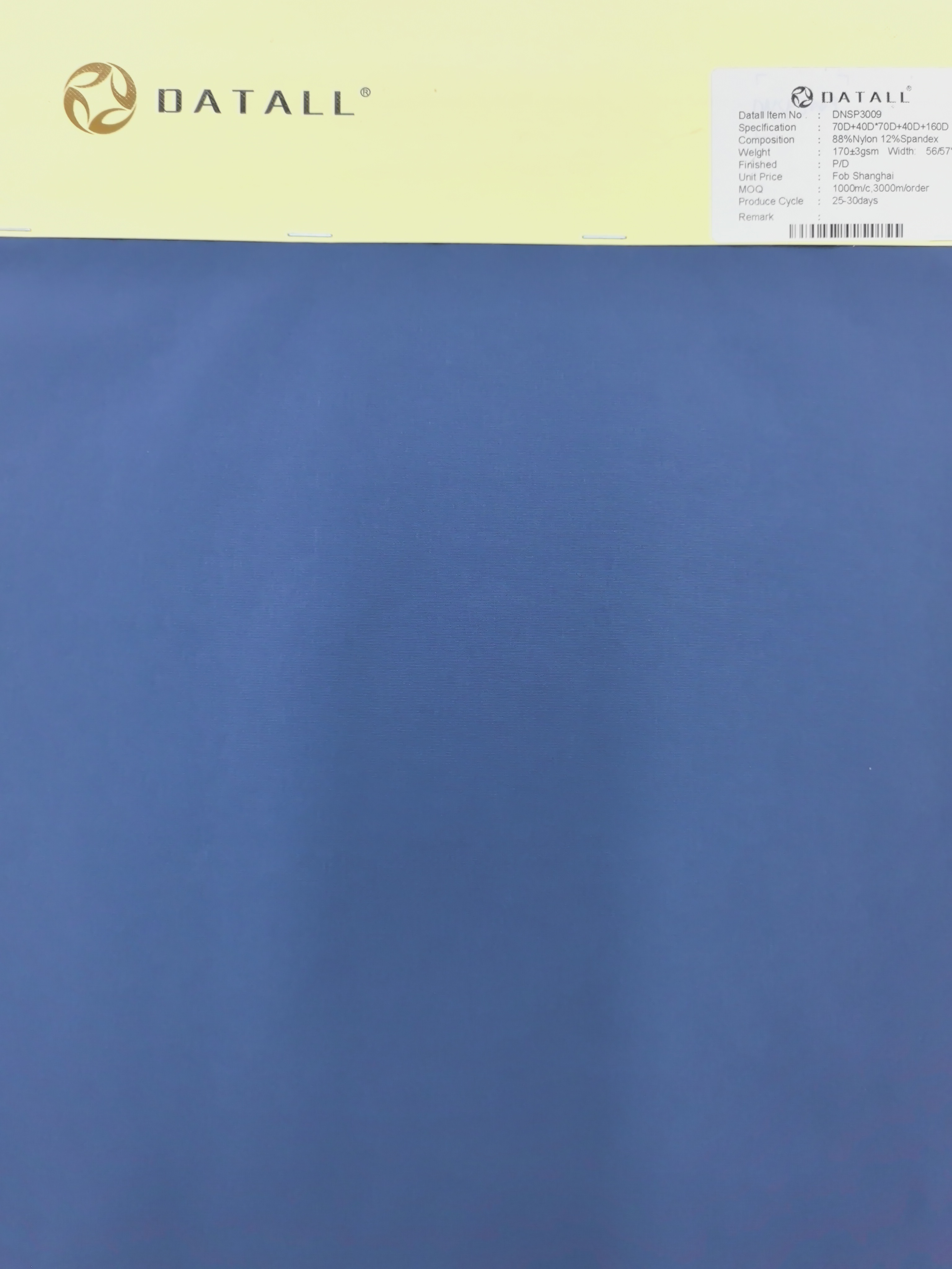DNSP3009