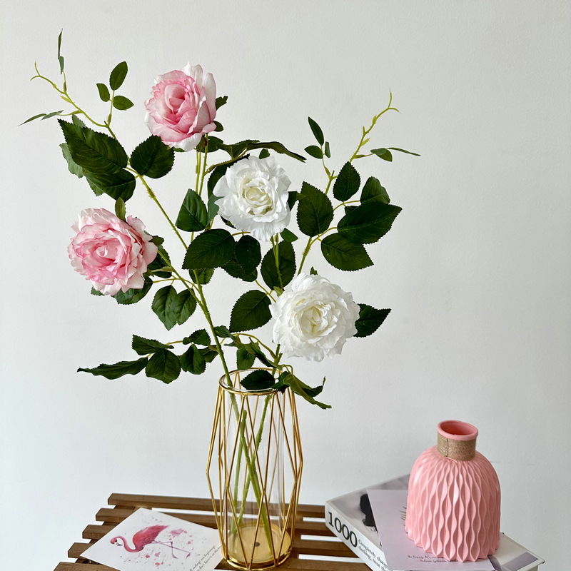 Exhibition Art Accessories: Fresh cut flowers, small daisies, lace, e zone, daisies, acetate petals