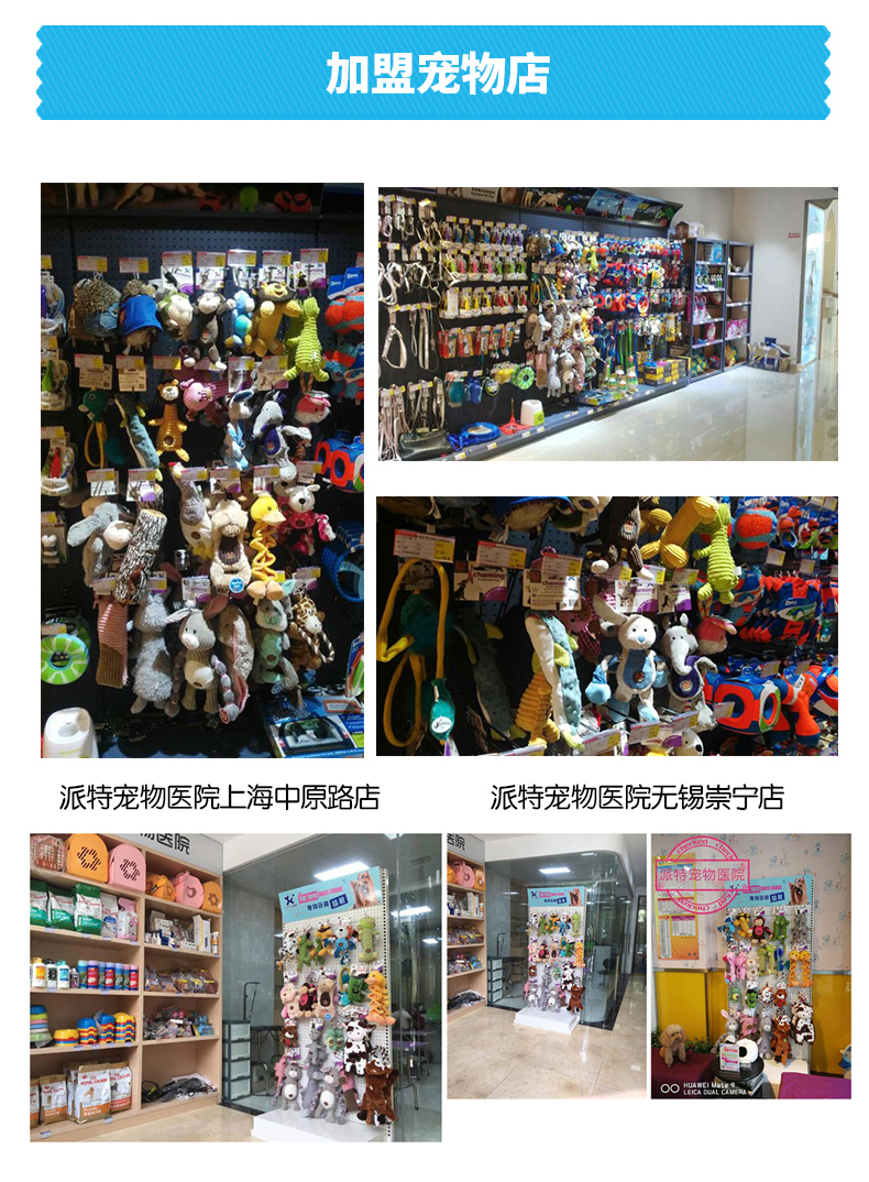 专为中小型犬设计水果造型狗玩具小巧可爱方便啃咬耐咬甜甜圈系列详情12