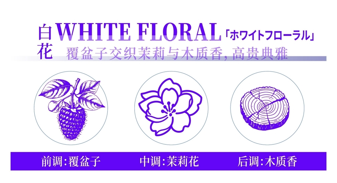 原装进口植密社夜间复合精华洗发水500ml   温和清洁  修复 控油防断发  强韧发根洗发水详情图12