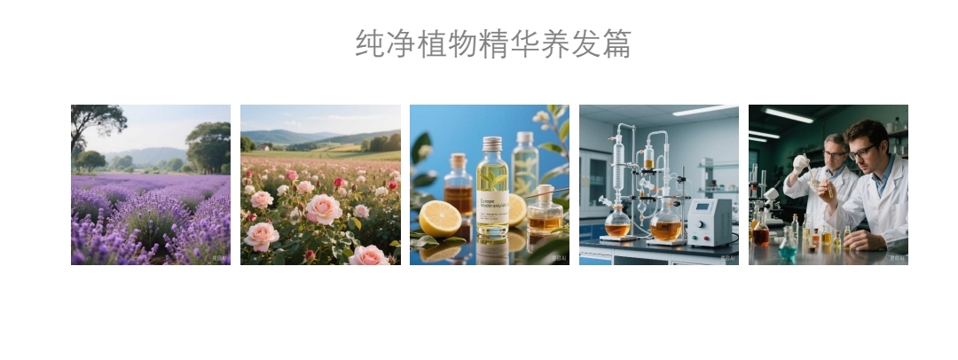 原装进口植密社夜间复合精华洗发水500ml   温和清洁  修复 控油防断发  强韧发根洗发水详情图8