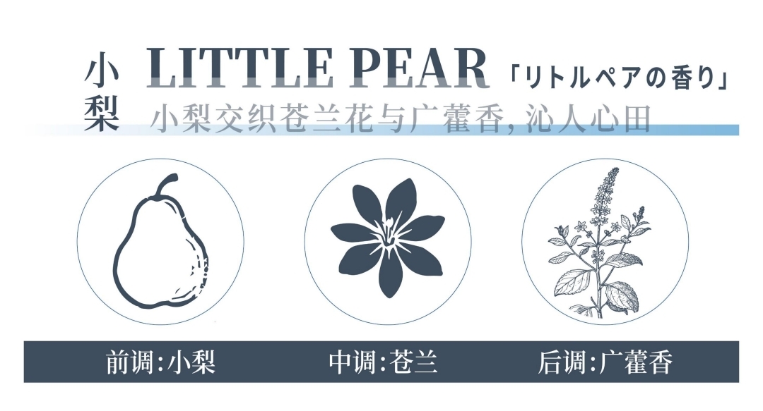 原装进口植密社三重蛋白精华修护洗发水500ml  温和不刺激 修护 强韧发丝洗发露洗发水详情图12