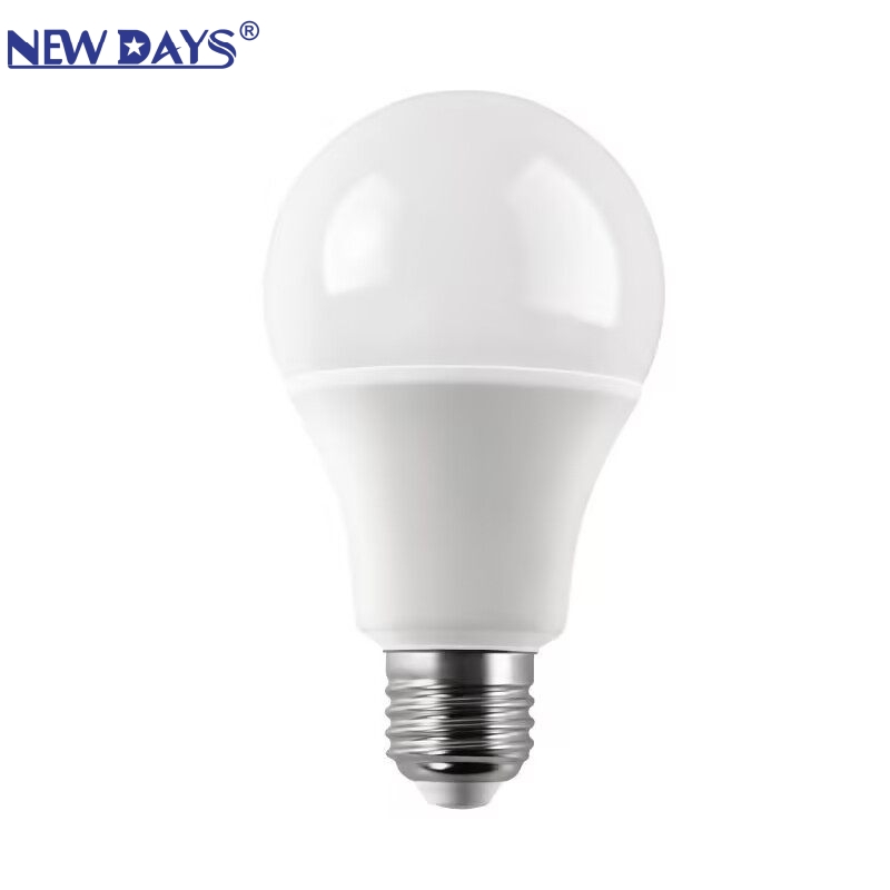 NEWDAYS品牌跨境新款led灯泡A泡照明球泡，节能低压高亮E27螺口，DC12V超长续航白光LED灯