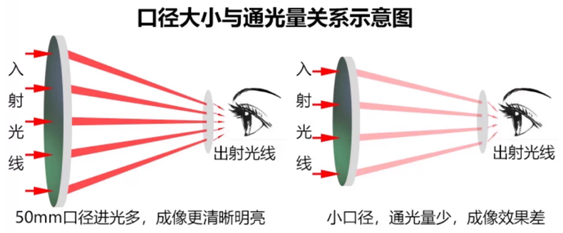 双筒望远镜双筒望远镜日夜两用户外找蜂专便携观鸟日夜两用便携式 pic 14