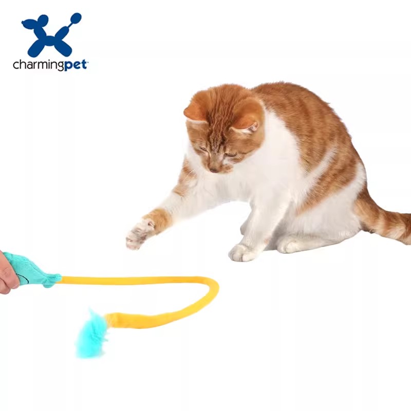 Cat teaser, pet cat toys, cat supplies, funny, fun and chewy cat teaser Application Scenario