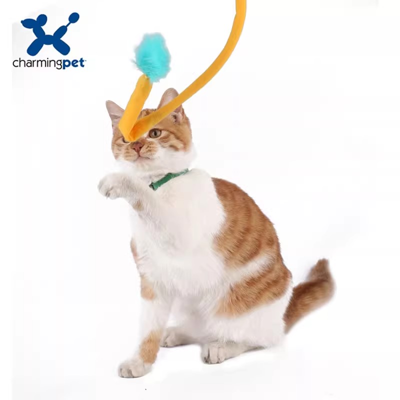 Cat teaser, pet cat toys, cat supplies, funny, fun and chewy cat teaser