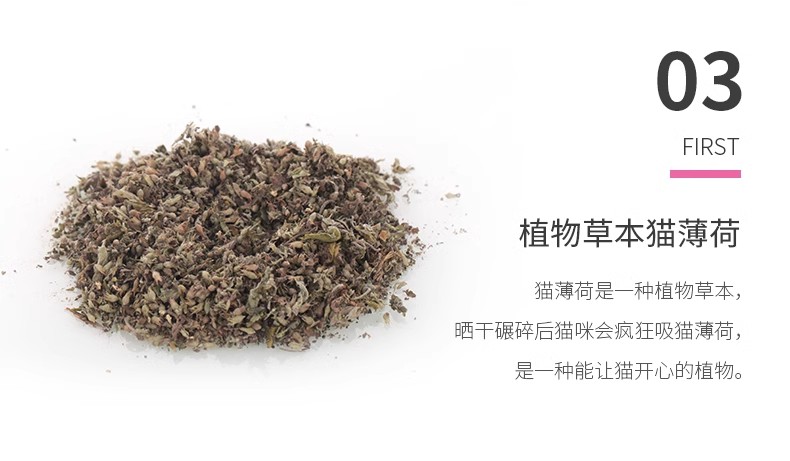 猫薄荷毛绒逗猫玩具宠物毛绒玩具玩具猫咪玩具宠物用品木天蓼系列详情5